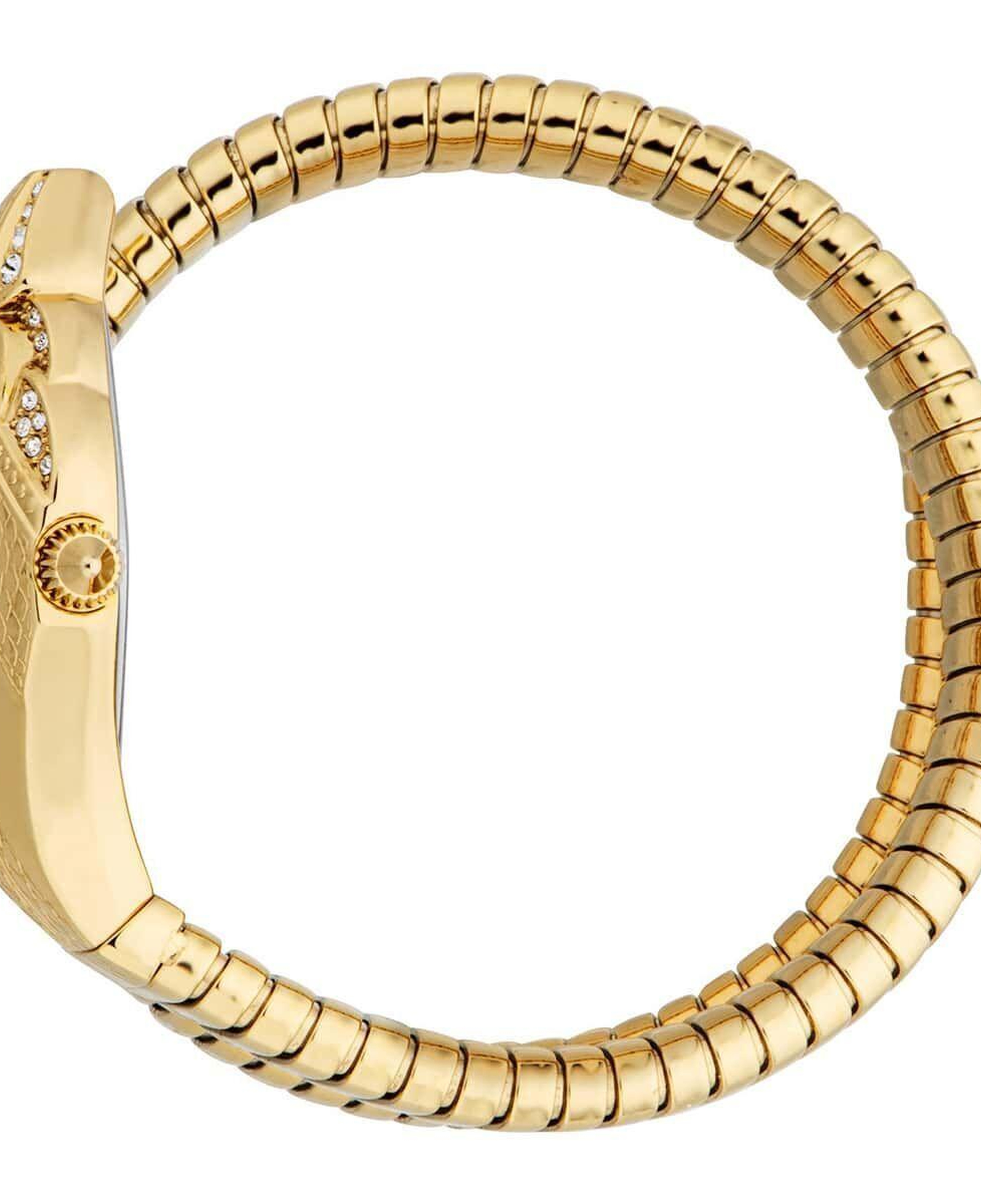 Just Cavalli JC1L306M0045 Kadın Kol Saati