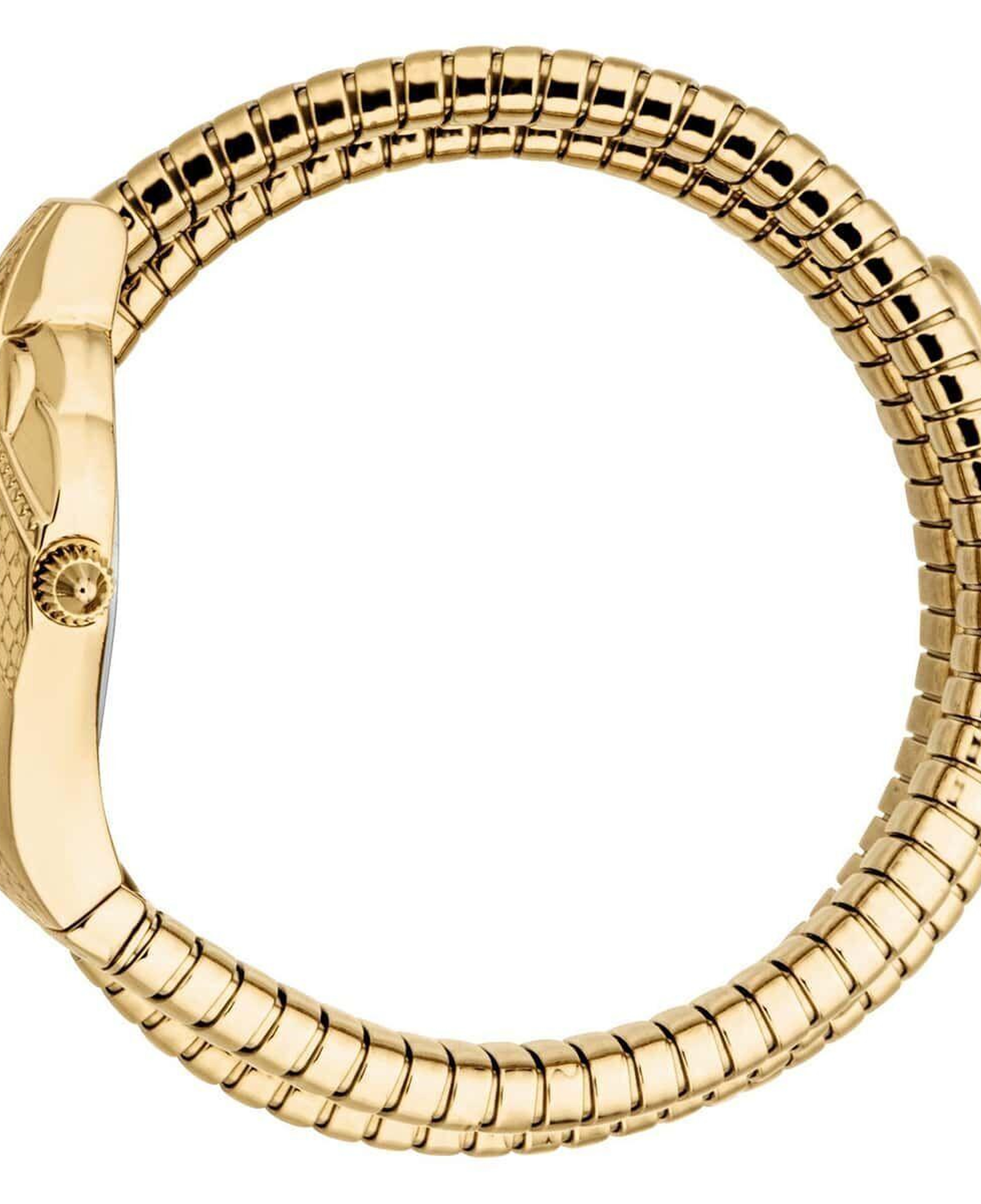 Just Cavalli JC1L307M0025 Kadın Kol Saati