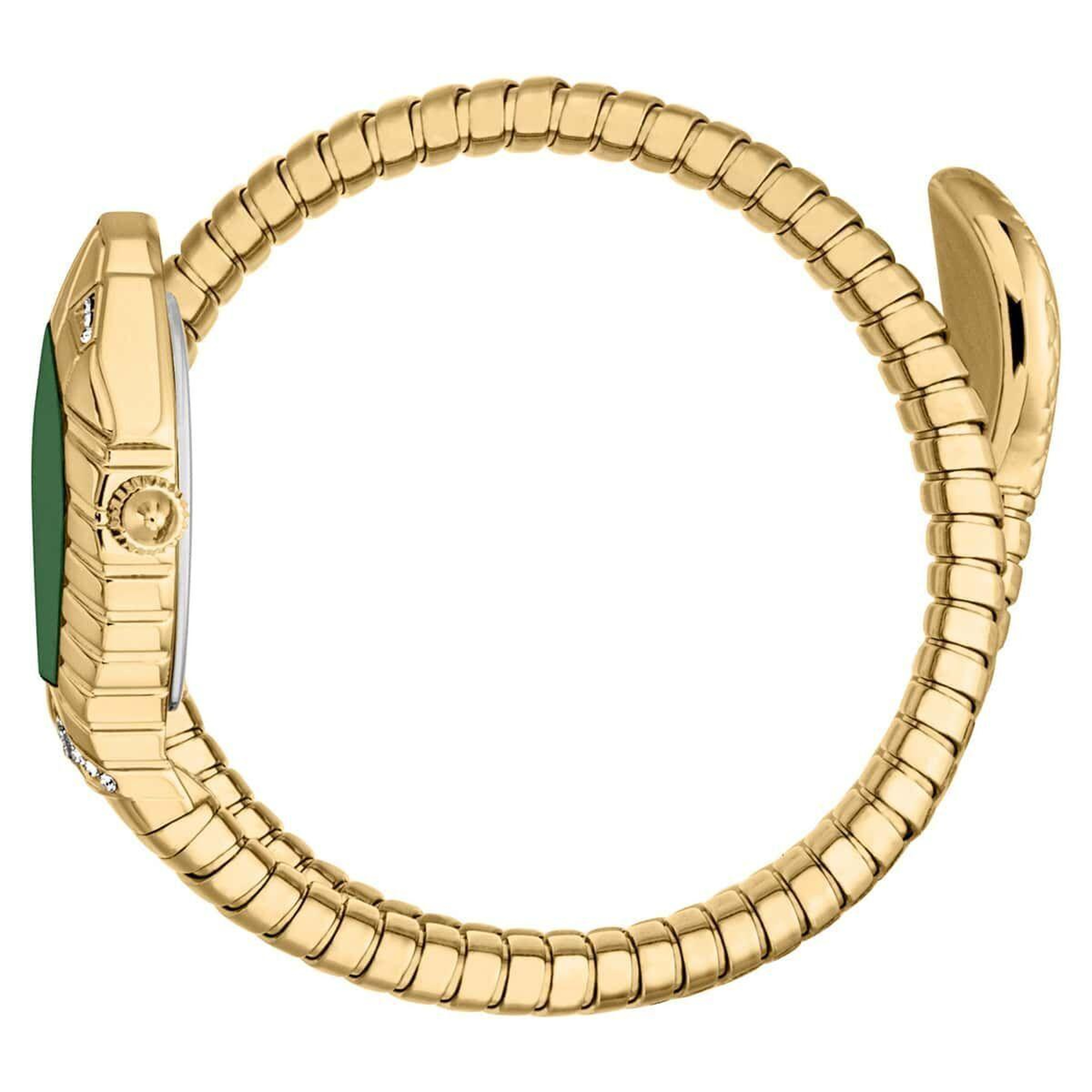 Just Cavalli JC1L356M0035 Kadın Kol Saati