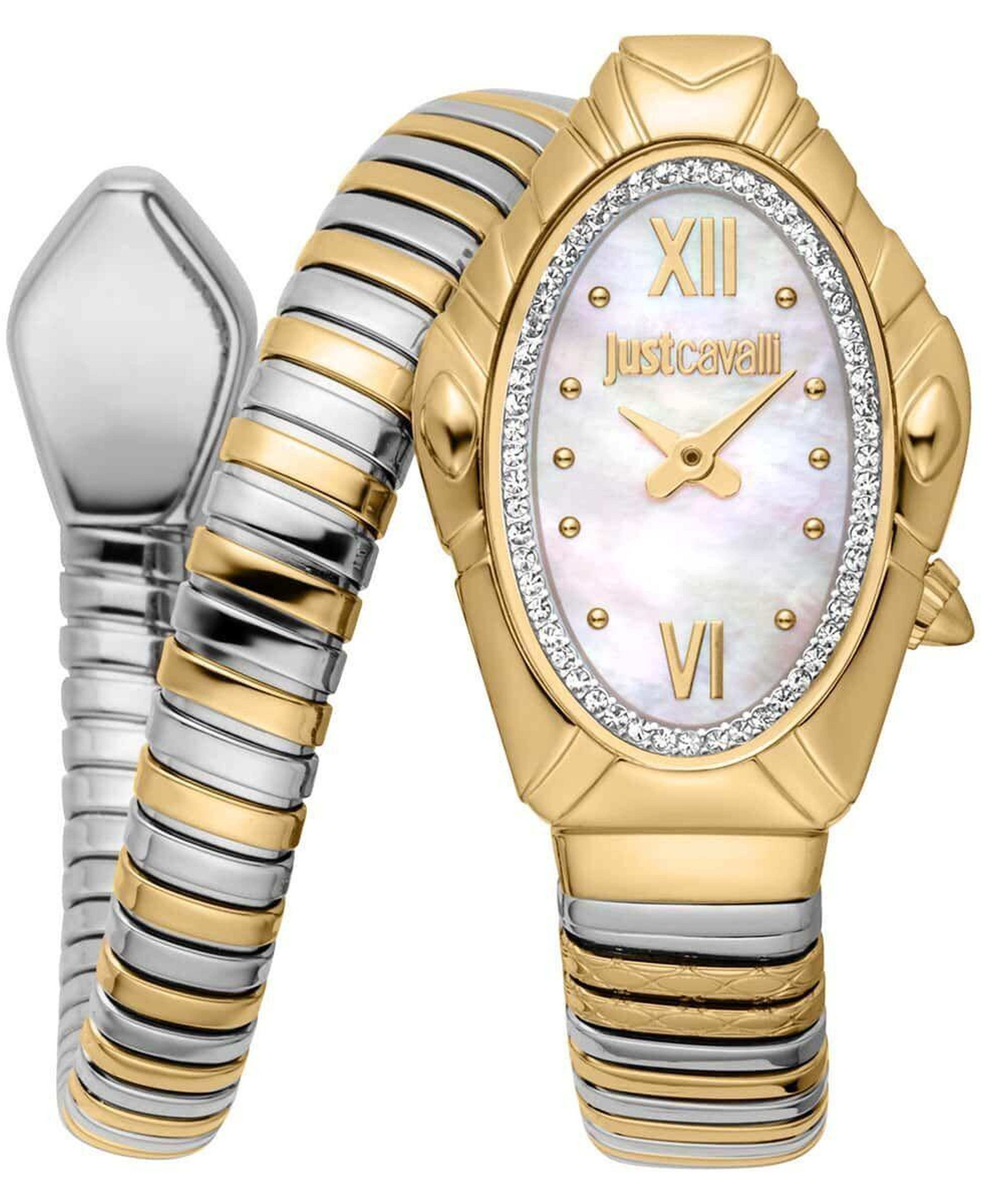 Just Cavalli JC1L357M0055 Kadın Kol Saati