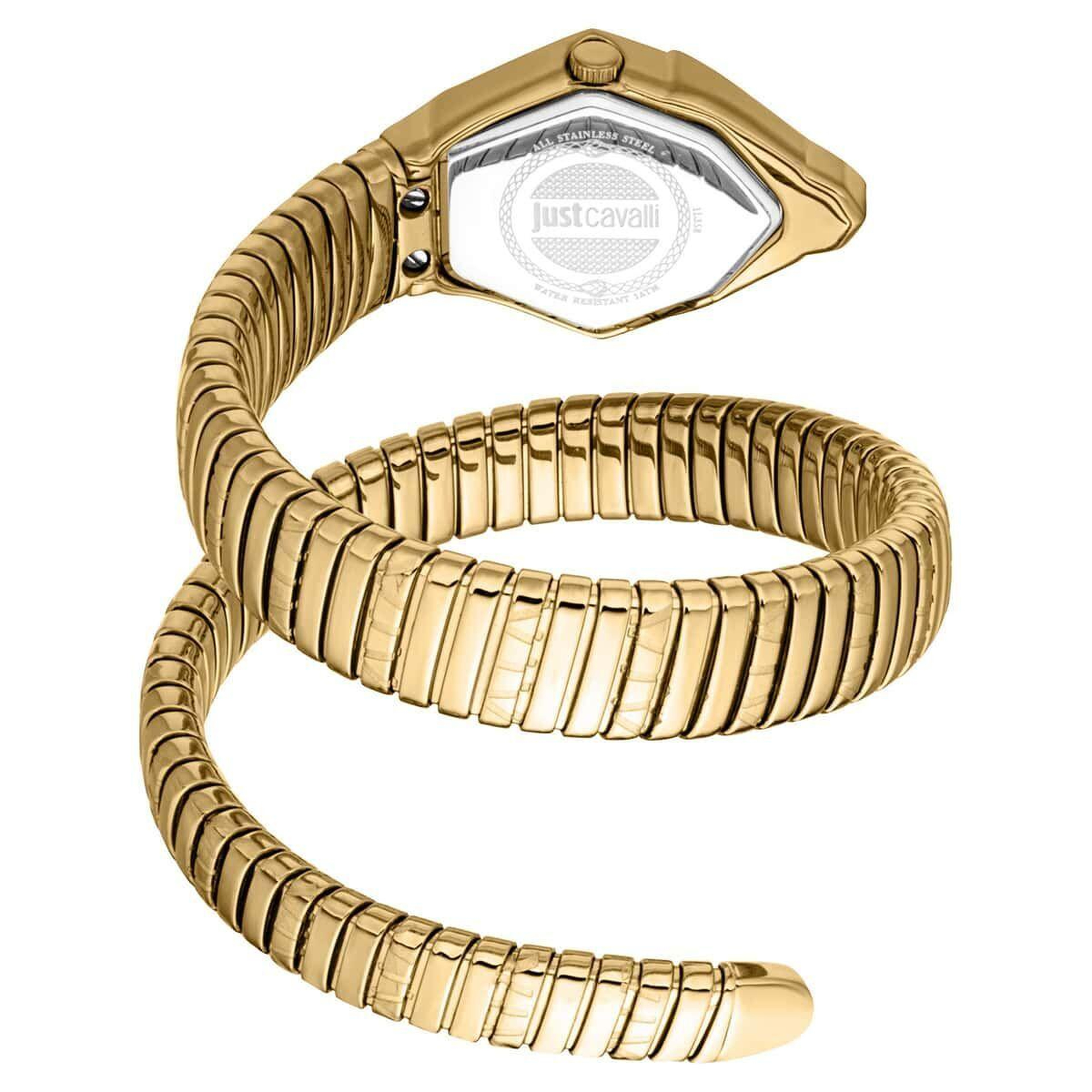 Just Cavalli JC1L358M0035 Kadın Kol Saati
