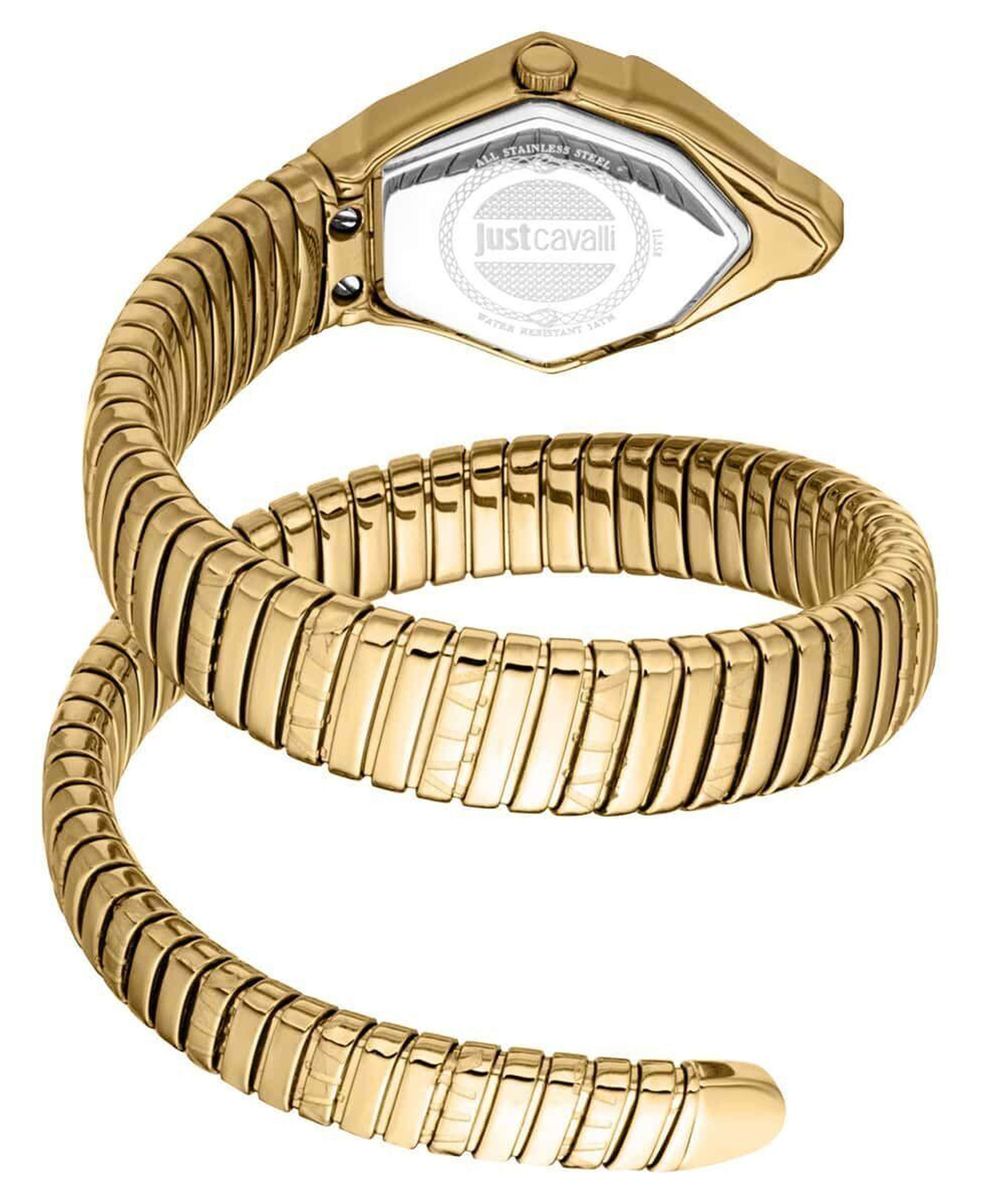 Just Cavalli JC1L358M0035 Kadın Kol Saati