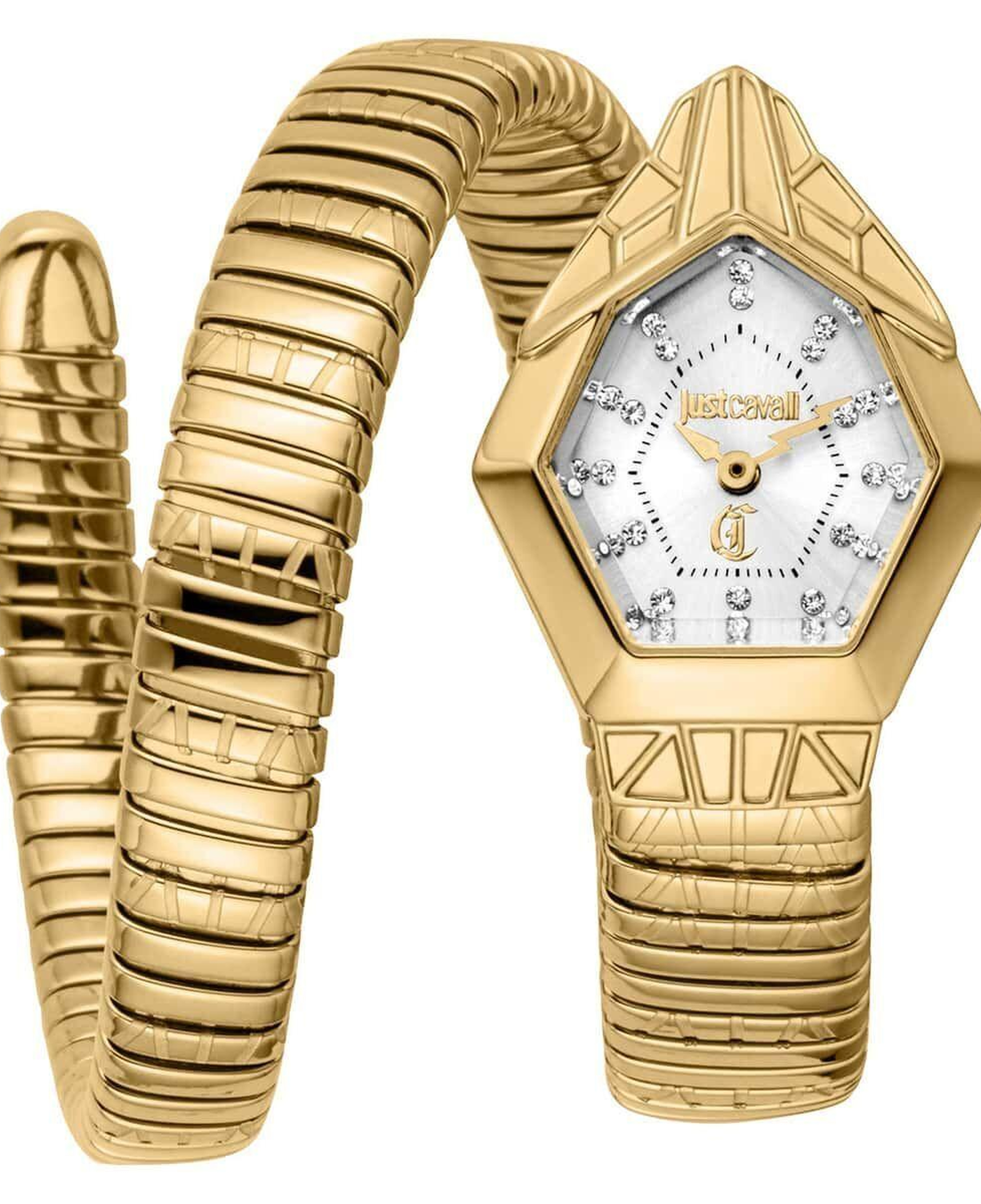 Just Cavalli JC1L358M0035 Kadın Kol Saati