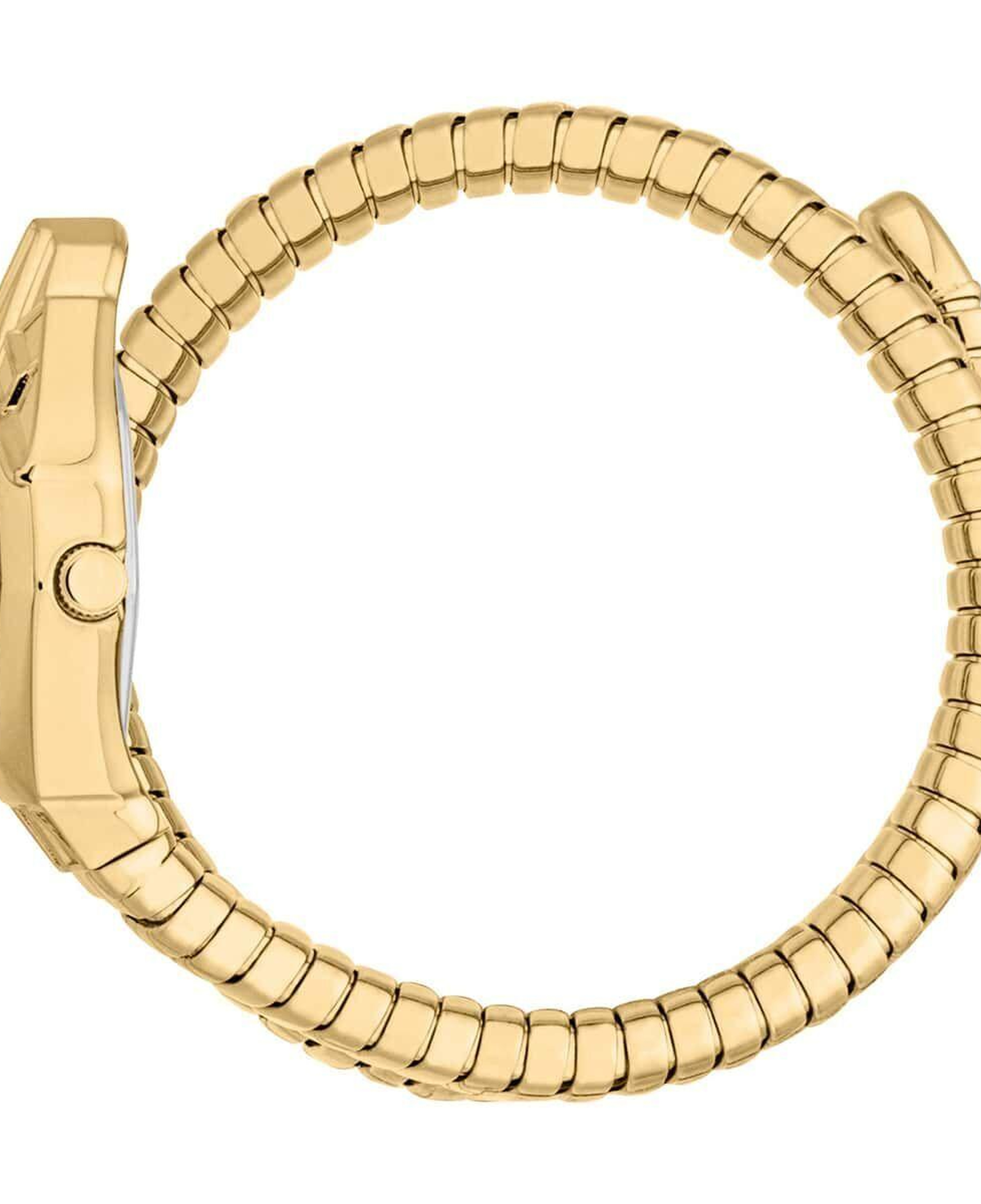 Just Cavalli JC1L358M0035 Kadın Kol Saati