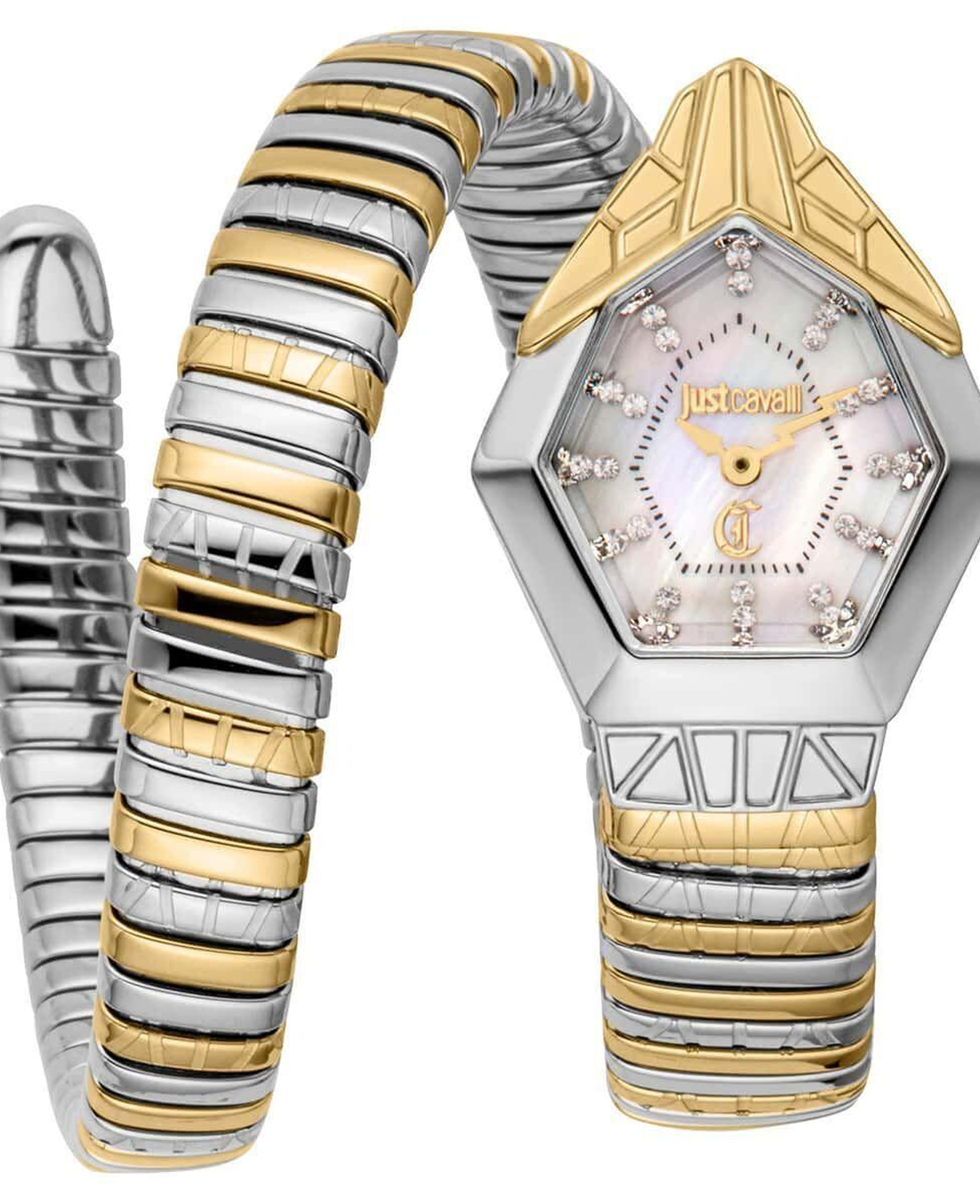 Just Cavalli JC1L358M0065 Kadın Kol Saati