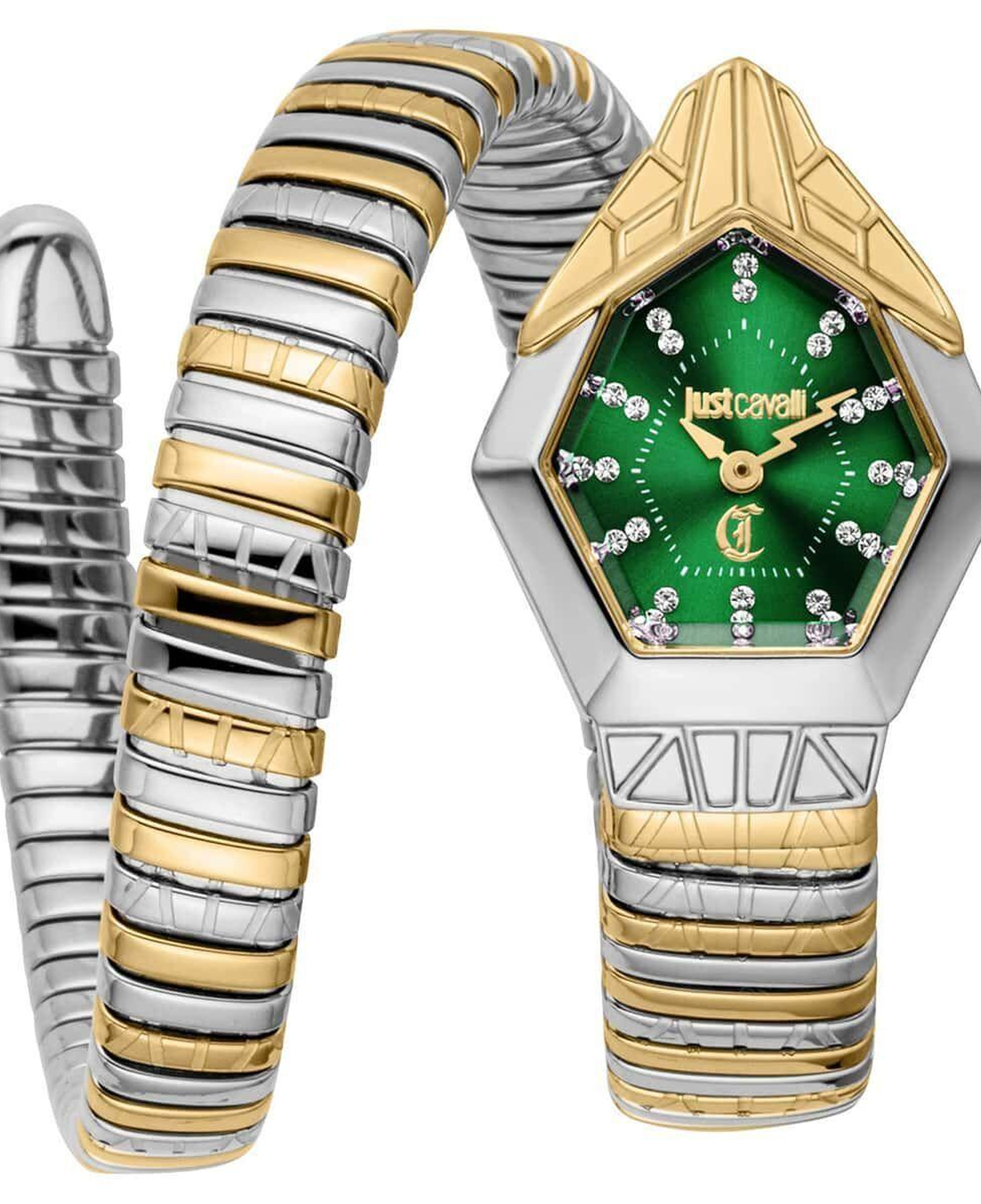 Just Cavalli JC1L358M0075 Kadın Kol Saati