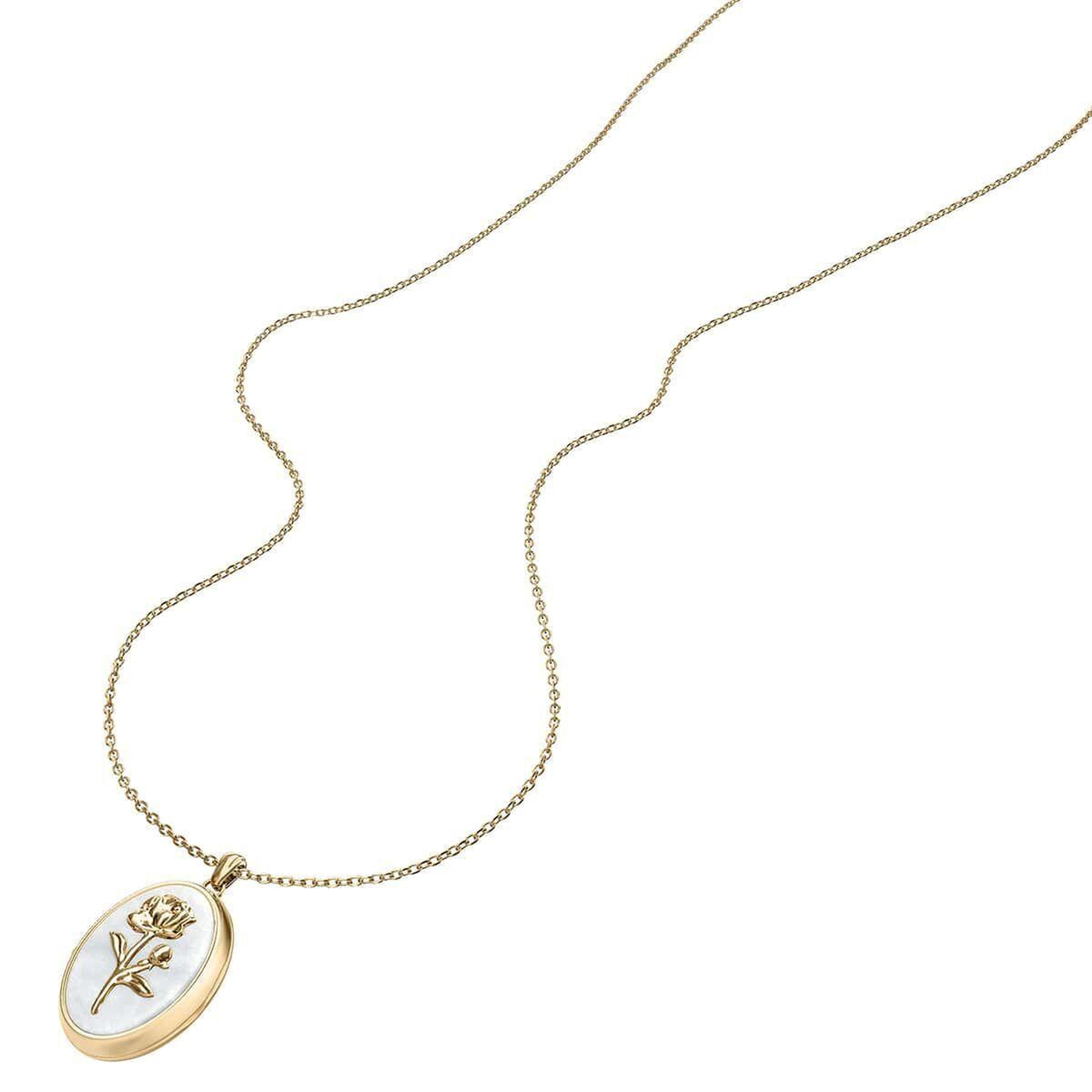 Fossil JF04976-710 Kadın Kolye