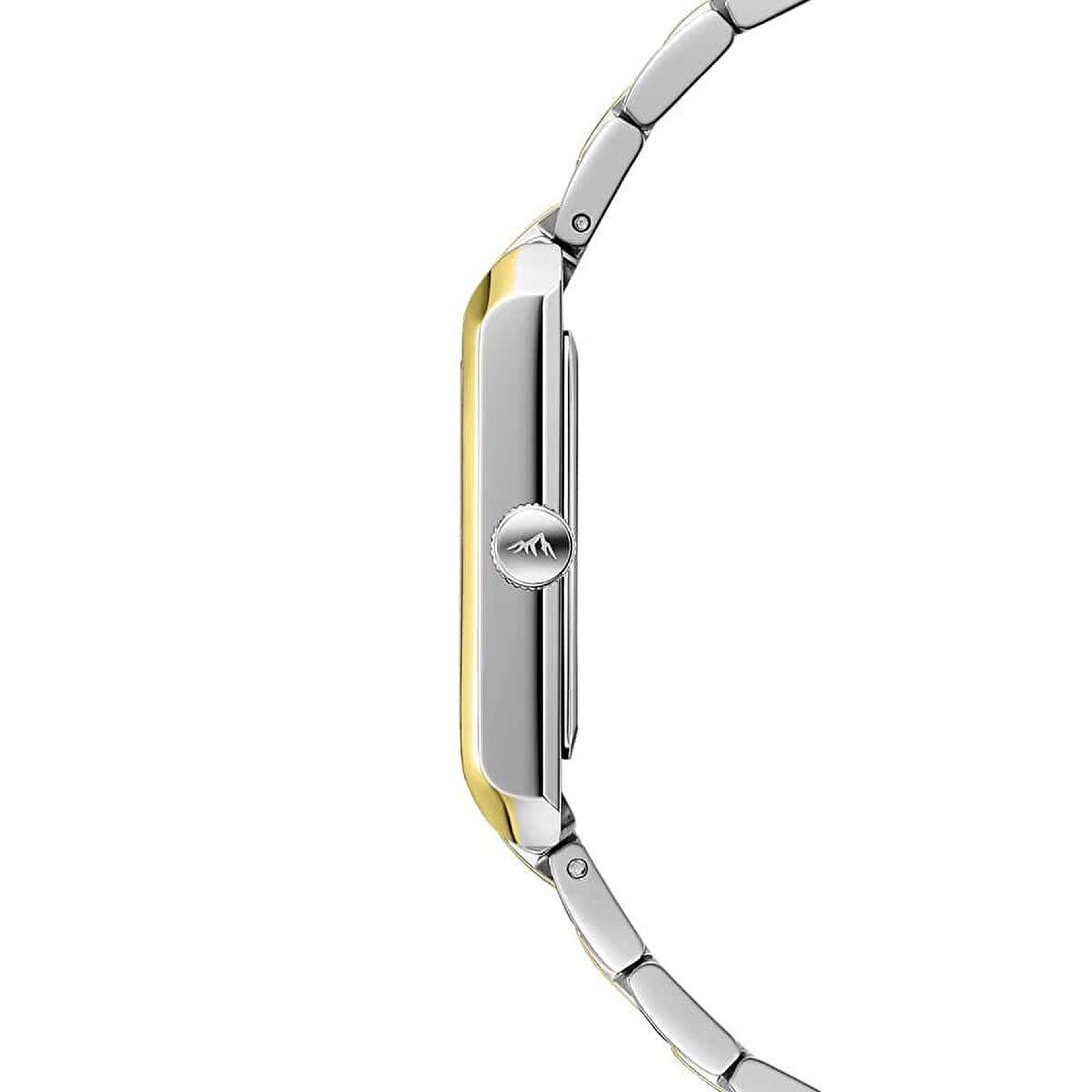 Roche Montre RML5010-04 Kadın Kol Saati