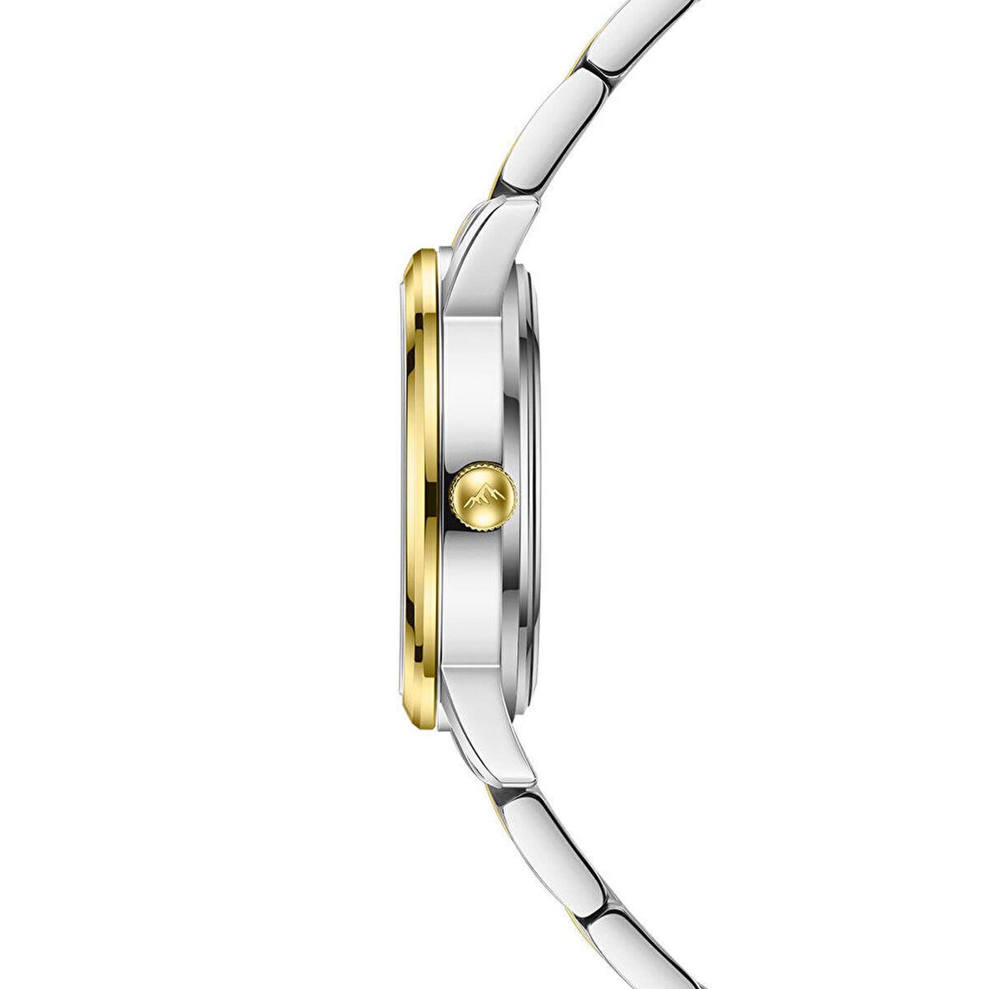 Roche Montre RML5014-02 Kadın Kol Saati
