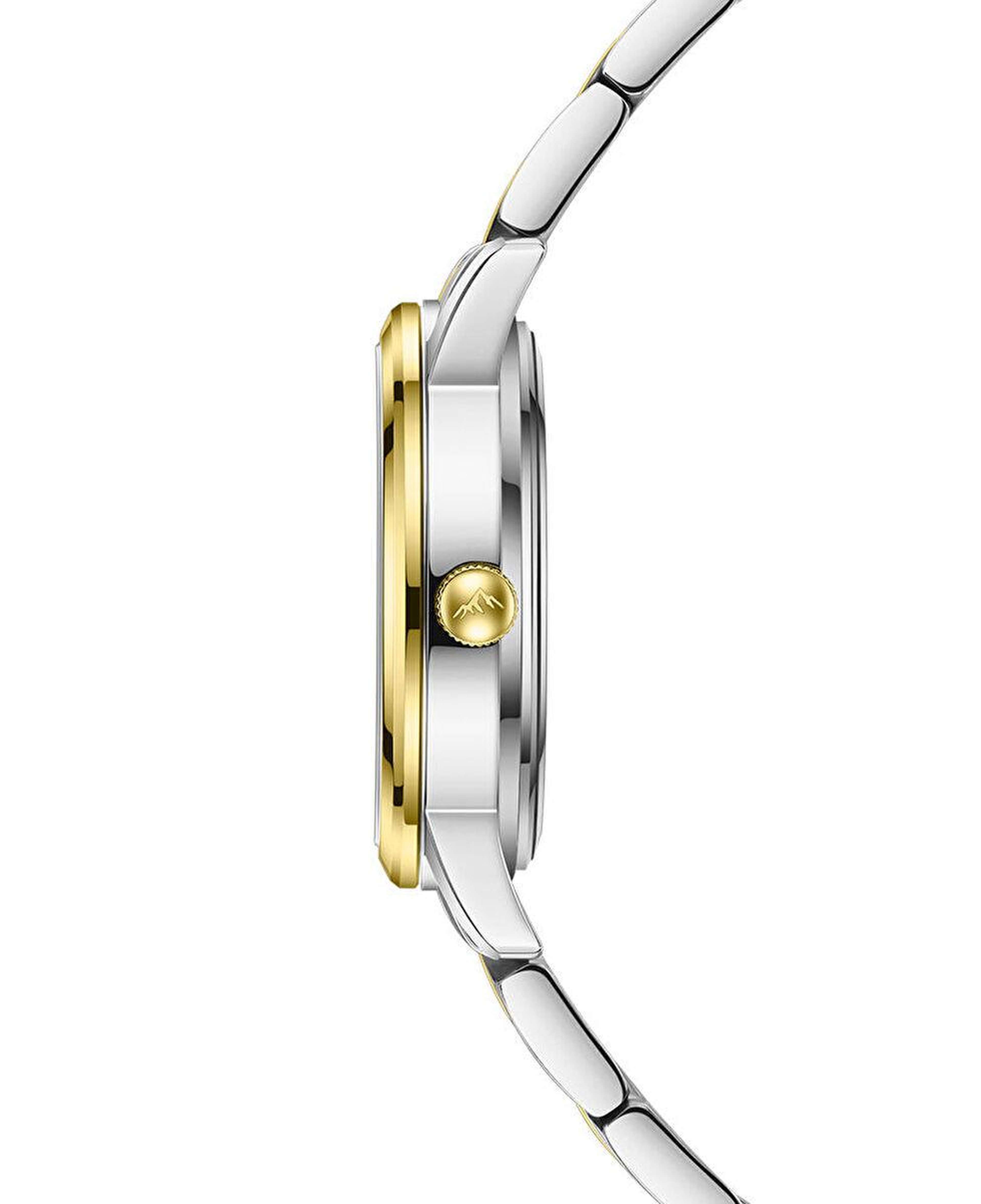 Roche Montre RML5014-02 Kadın Kol Saati