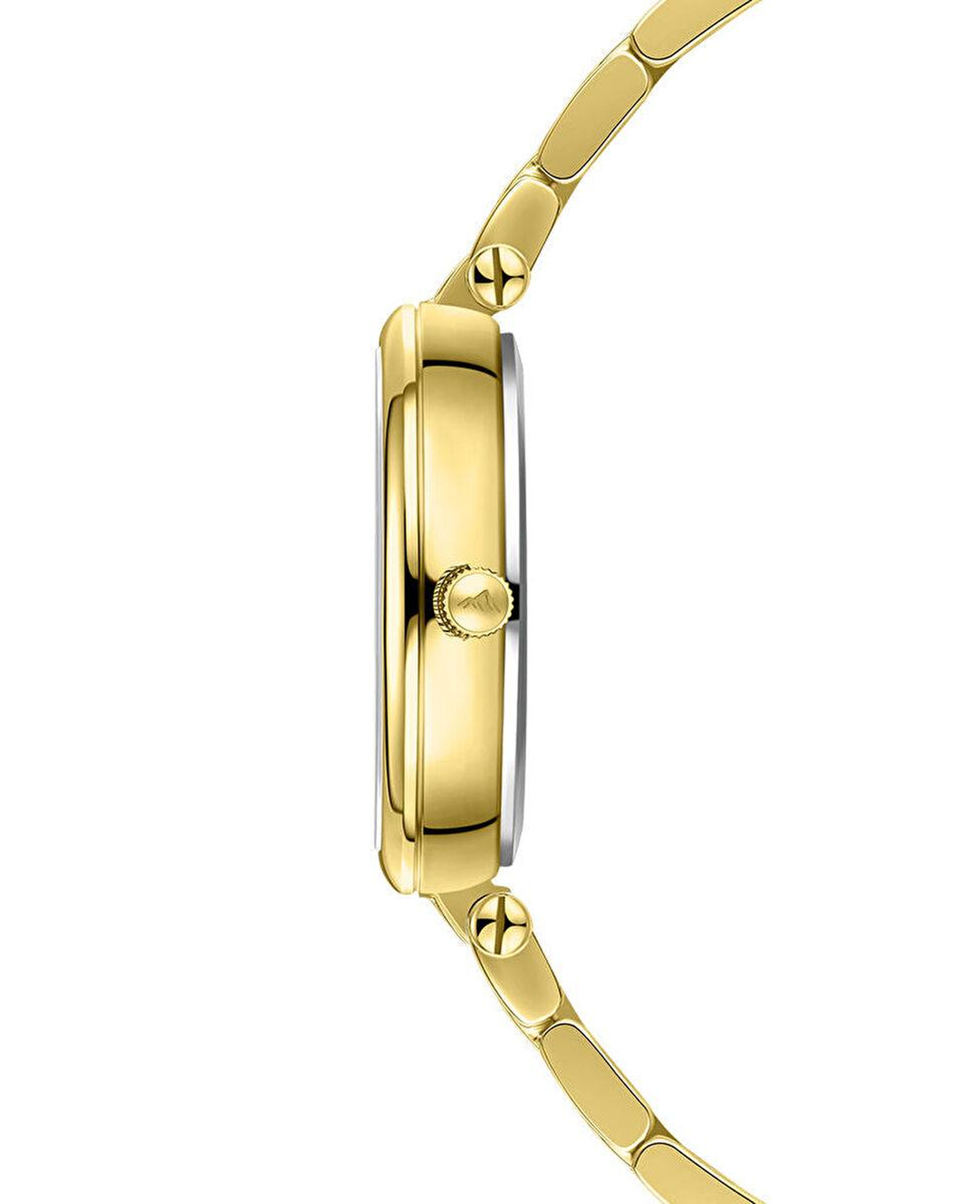 Roche Montre RML5015-01 Kadın Kol Saati