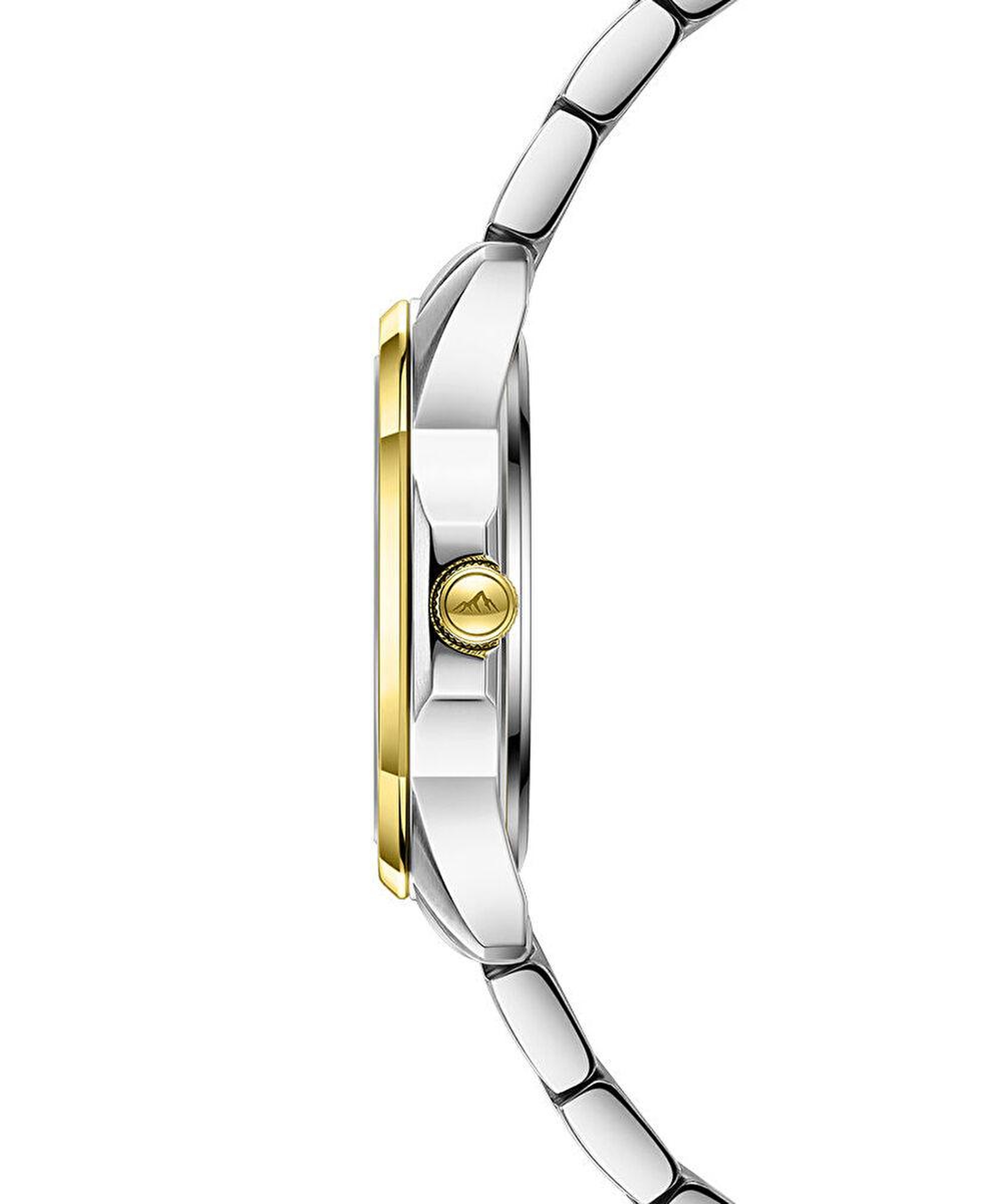 Roche Montre RML5007-02 Kadın Kol Saati