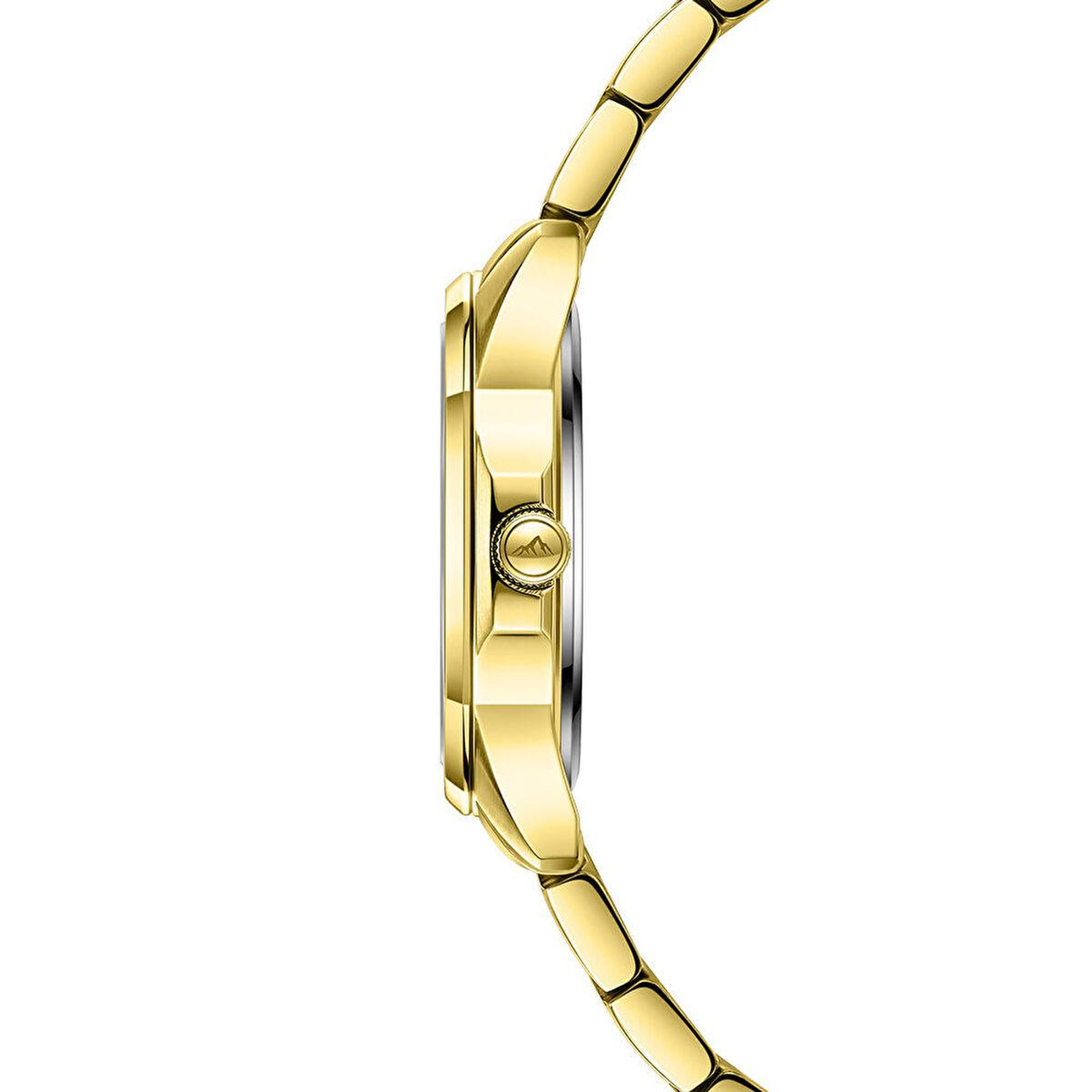 Roche Montre RML5007-05 Kadın Kol Saati
