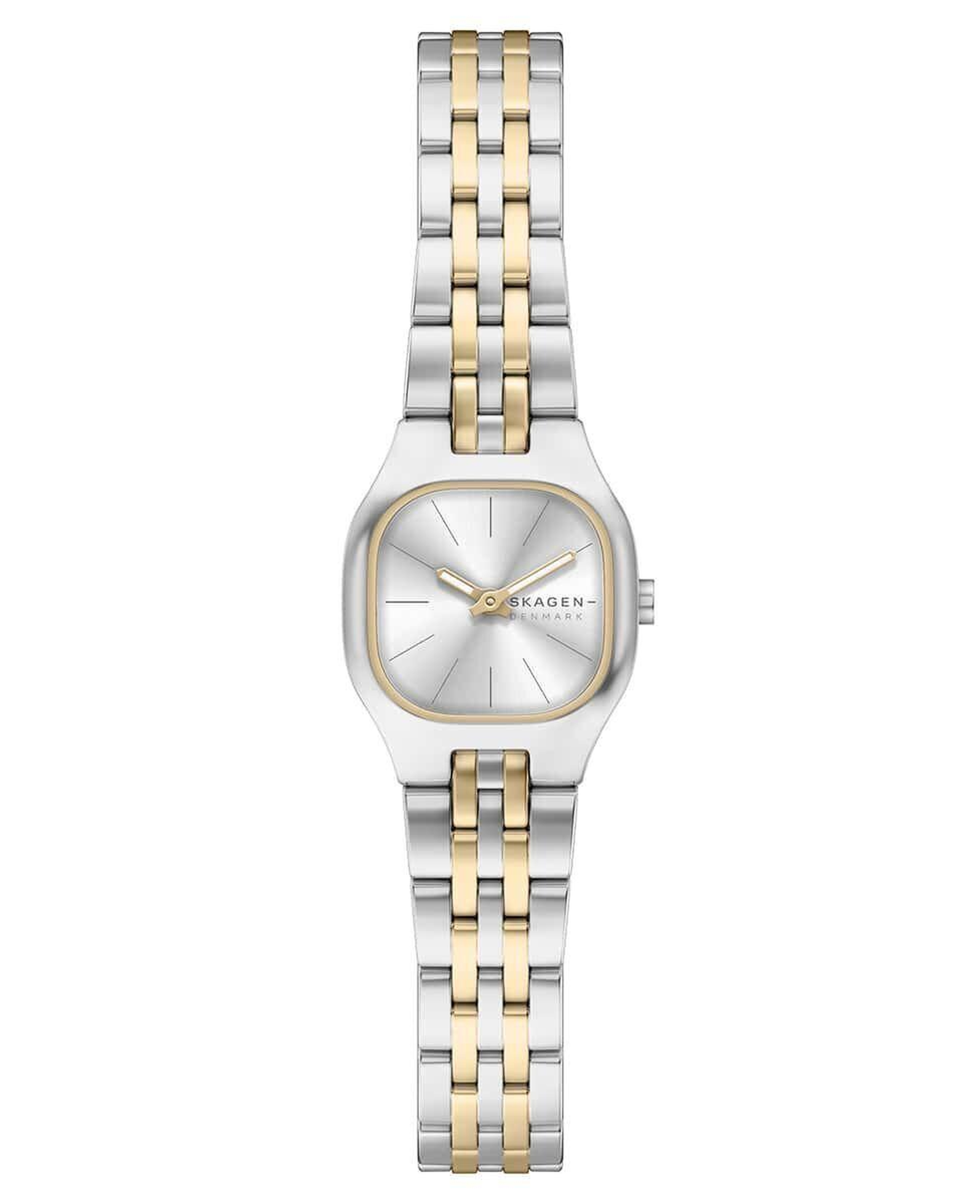 Skagen SKW3176 Kadın Kol Saati