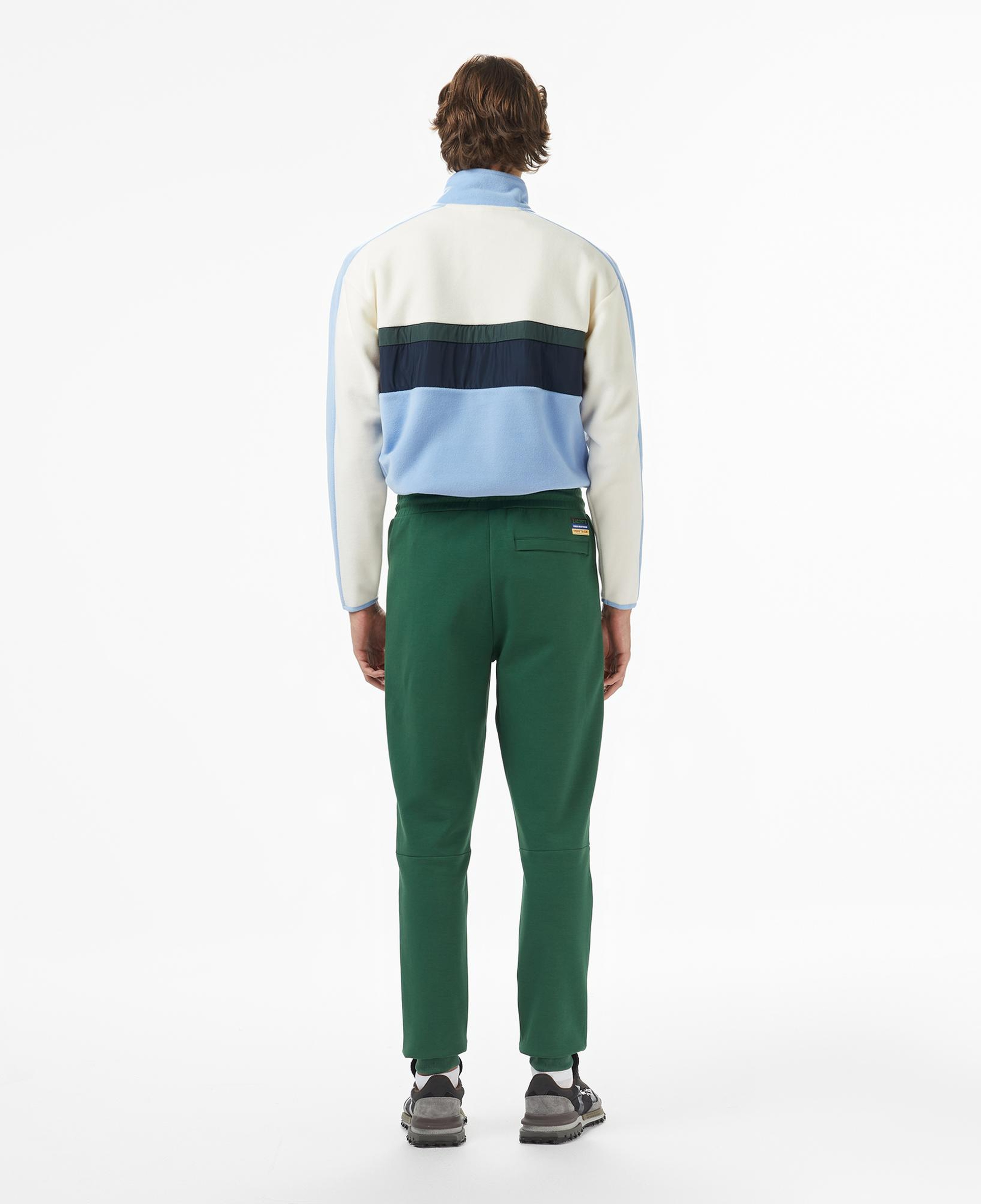 Lacoste Erkek Slim Fit Renk Bloklu Yeşil Eşofman Altı