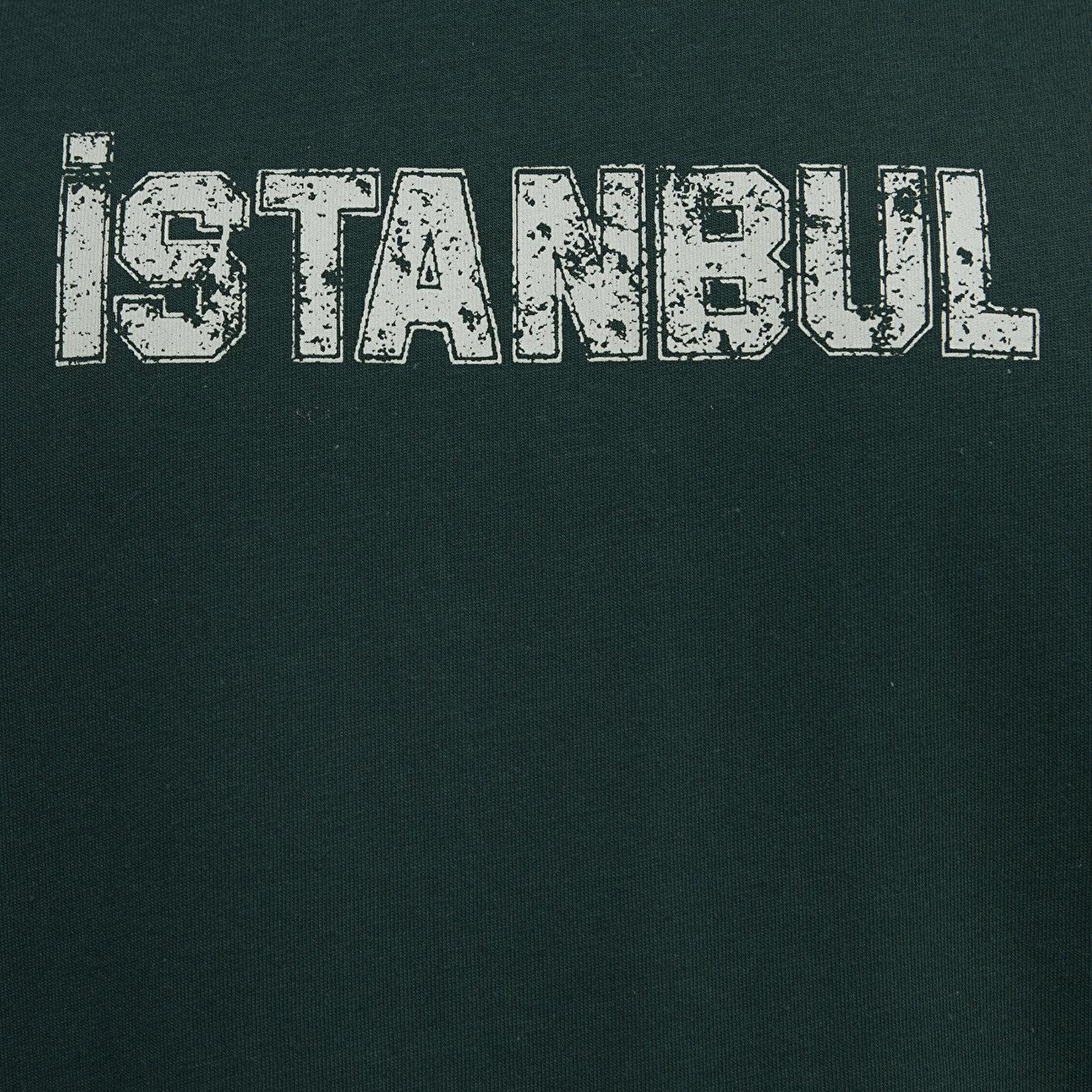 Mavi İstanbul Baskılı Yeşil Tişört Loose Fit / Bol Rahat Kesim 0613593-85173