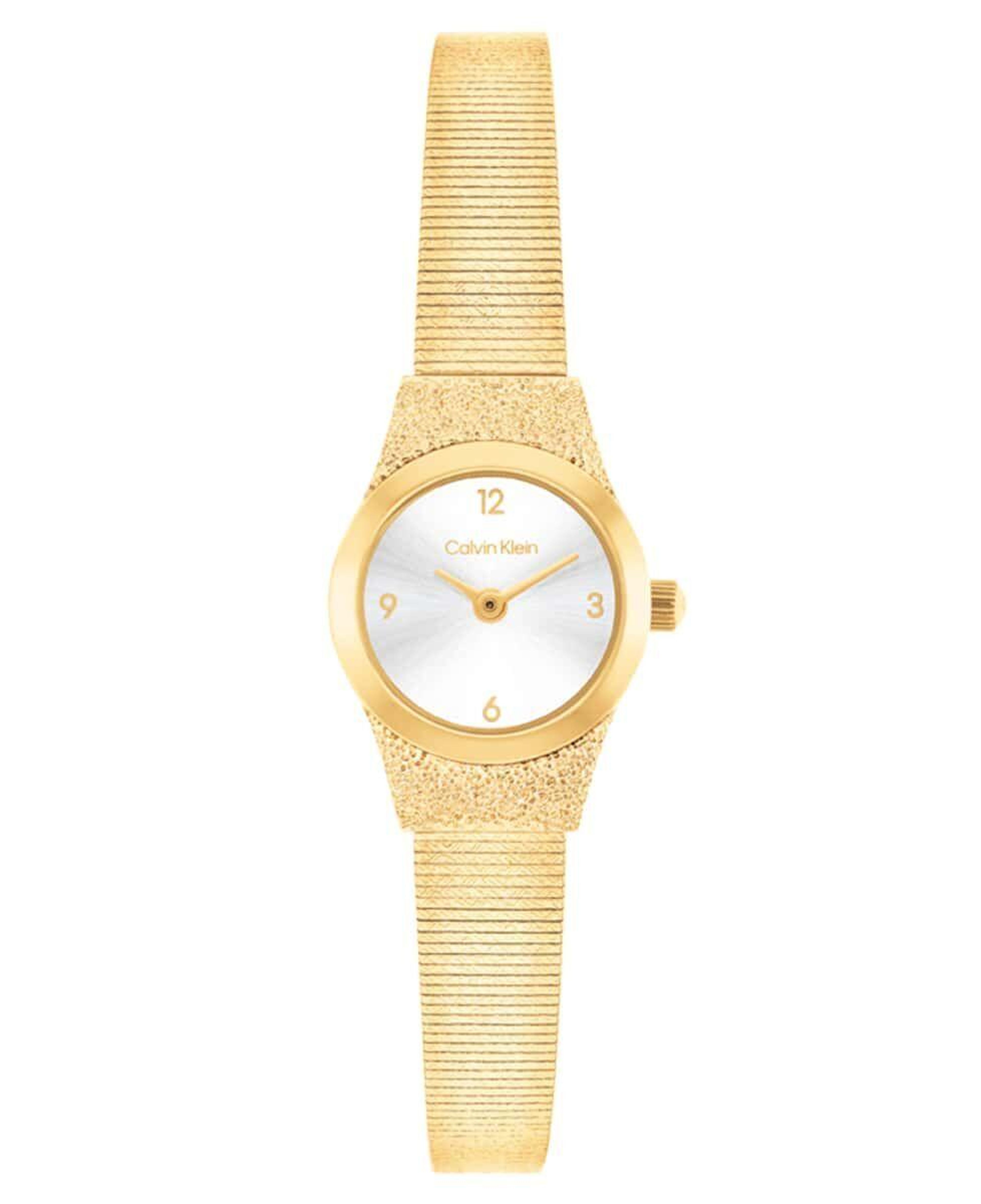 Calvin Klein CK25100193 Kadın Kol Saati