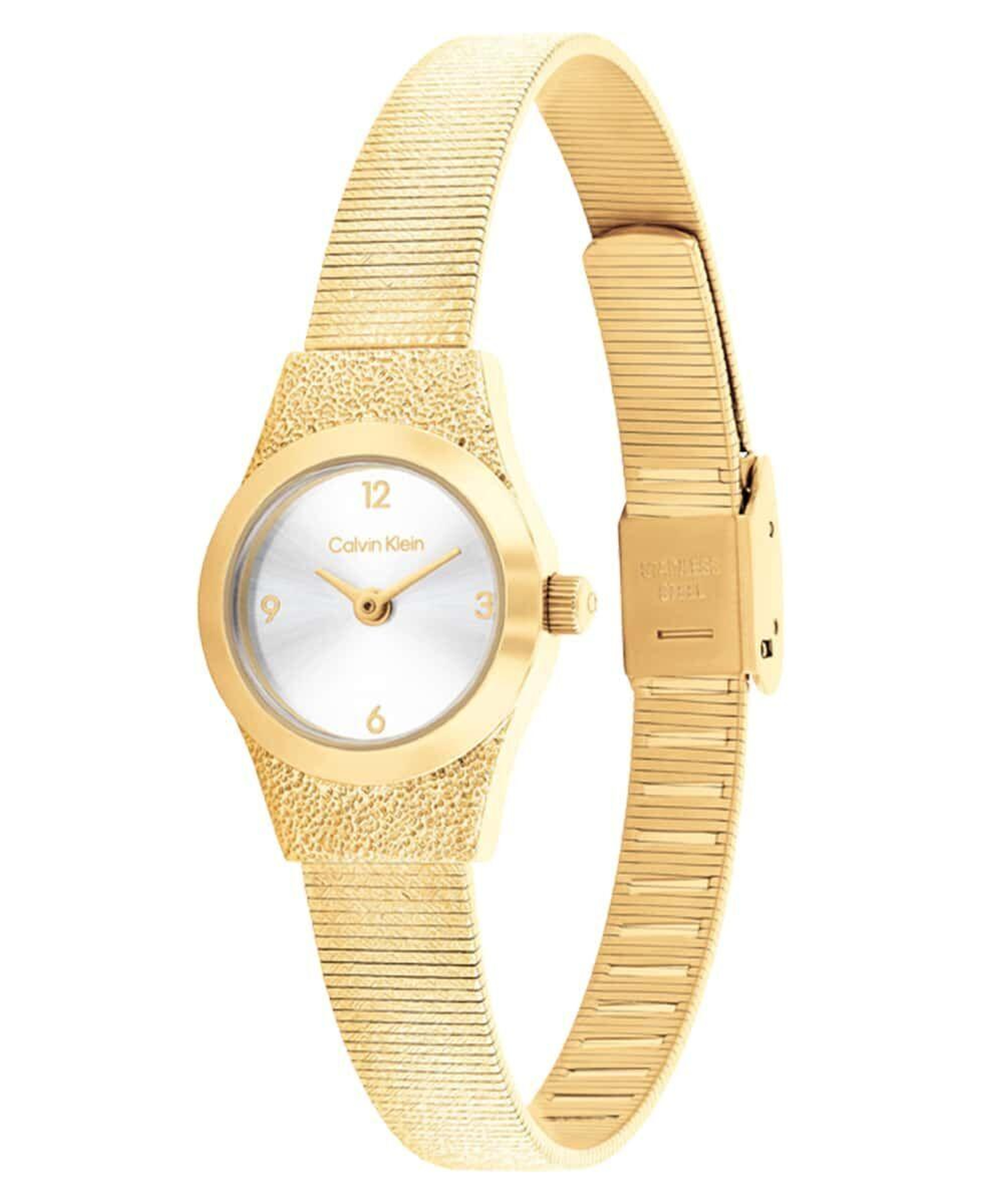 Calvin Klein CK25100193 Kadın Kol Saati