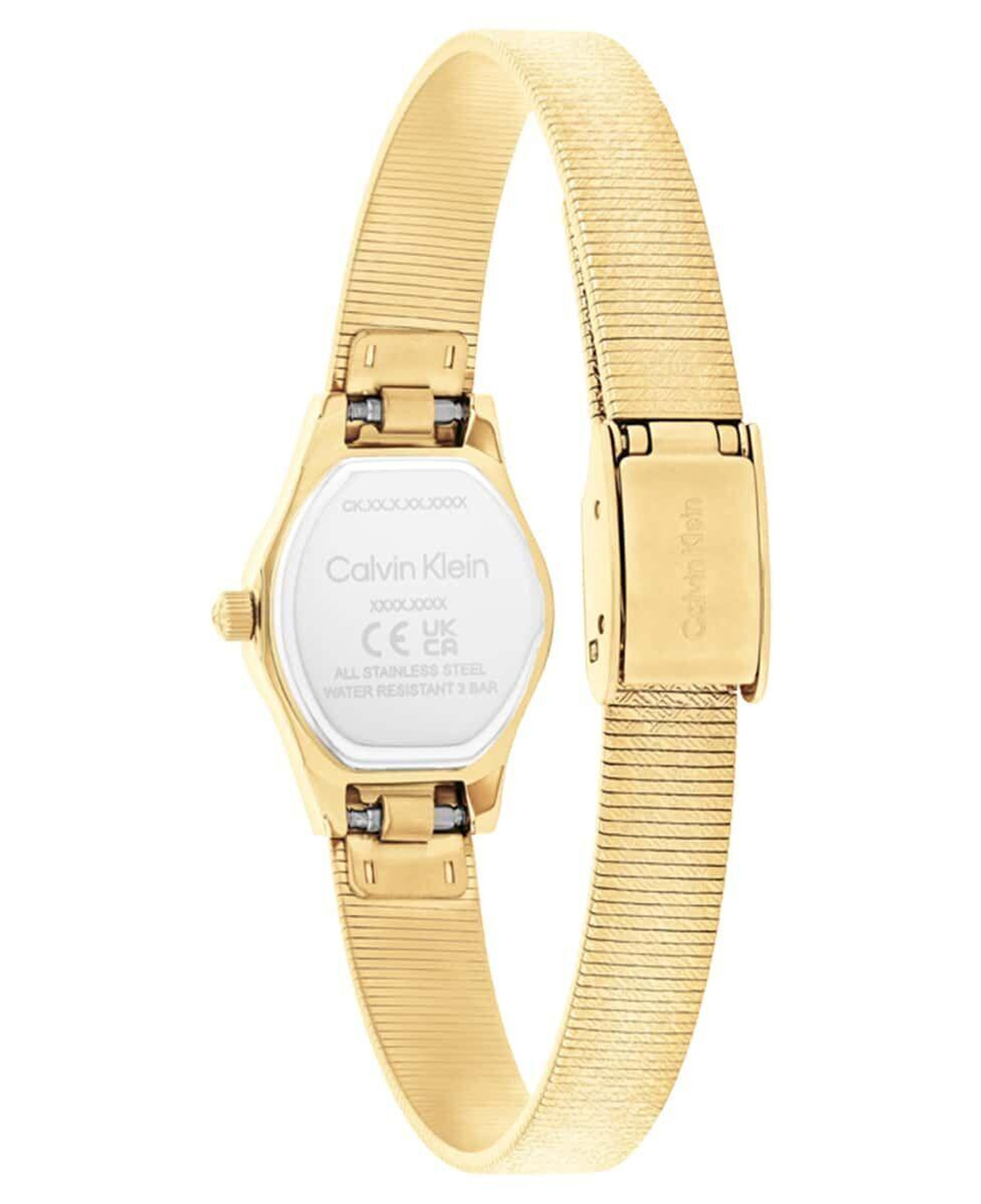 Calvin Klein CK25100193 Kadın Kol Saati