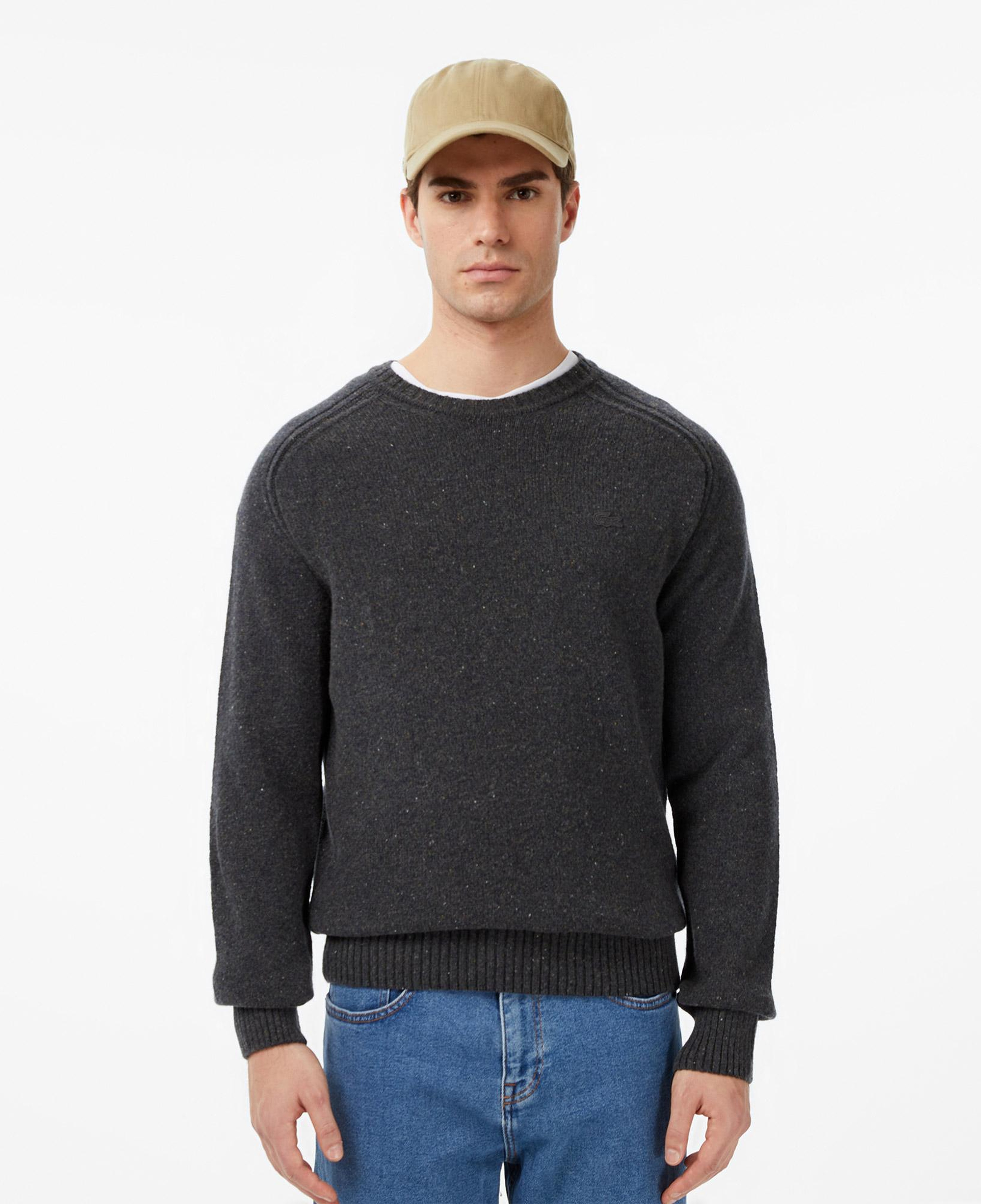 Lacoste Erkek Classic Fit Bisiklet Yaka Yün Gri Kazak