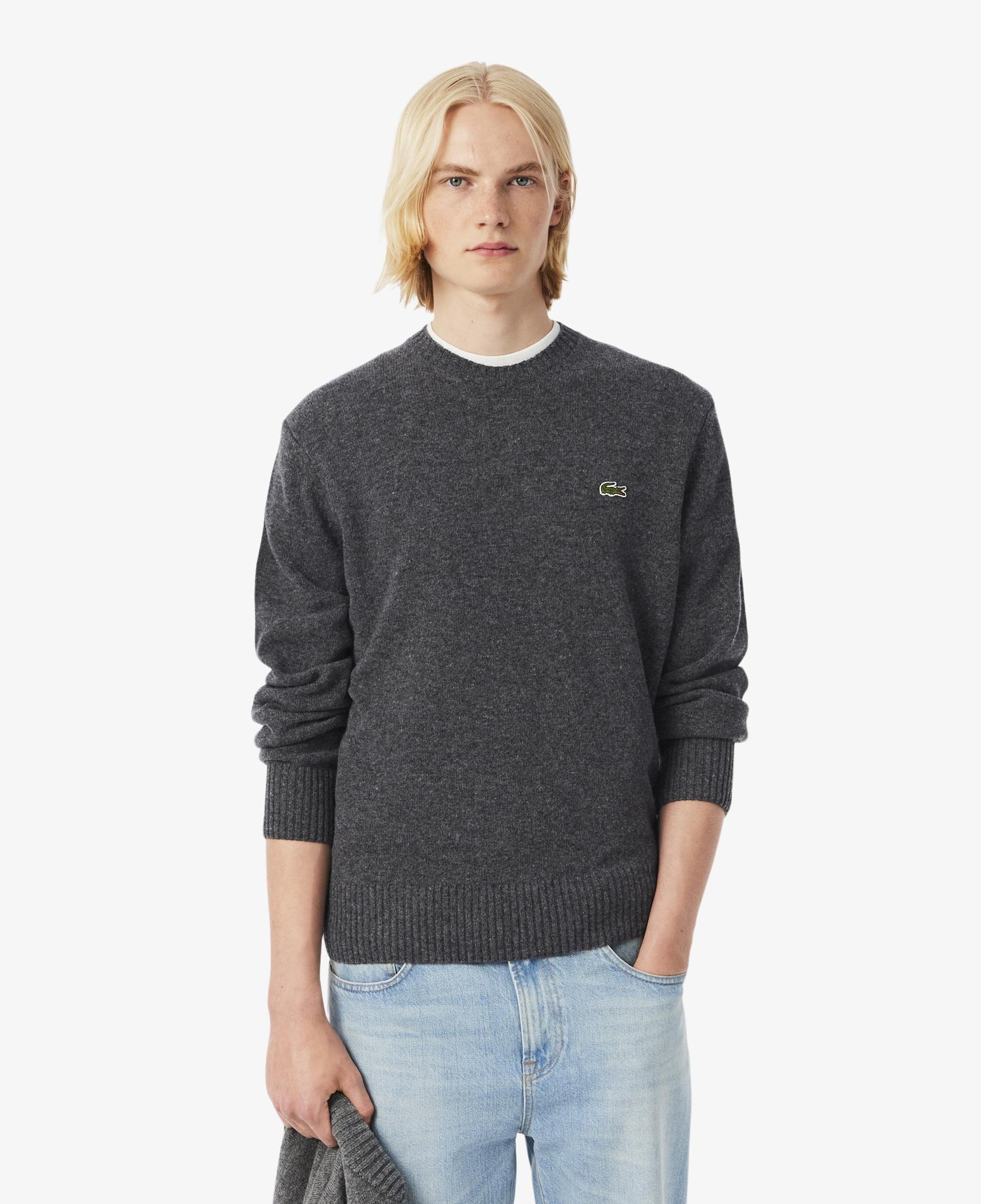 Lacoste Erkek Classic Fit Bisiklet Yaka Gri Kazak