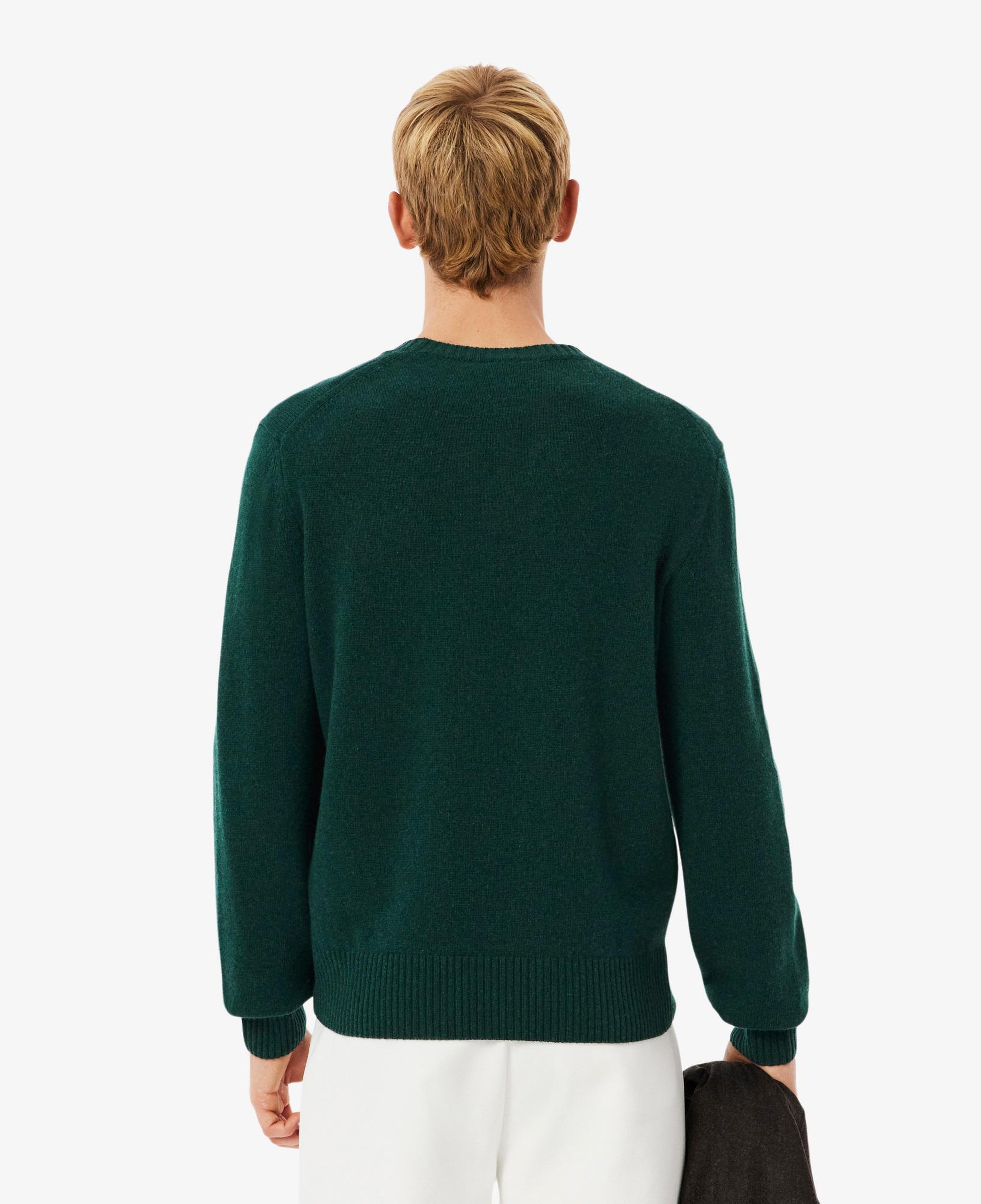 Lacoste Erkek Classic Fit Bisiklet Yaka Koyu Yeşil Kazak