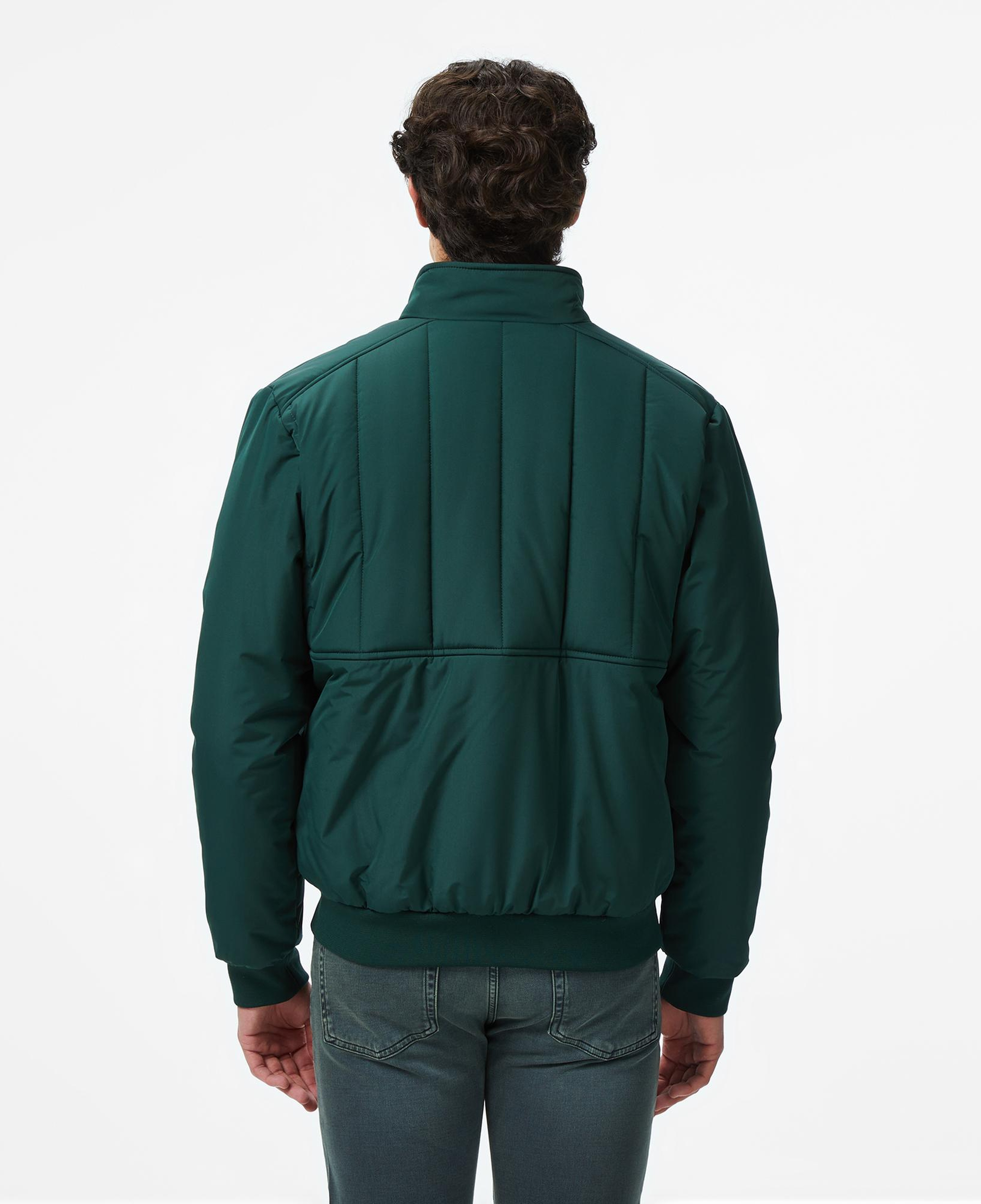 Lacoste Erkek Dik Yaka Koyu Yeşil Mont