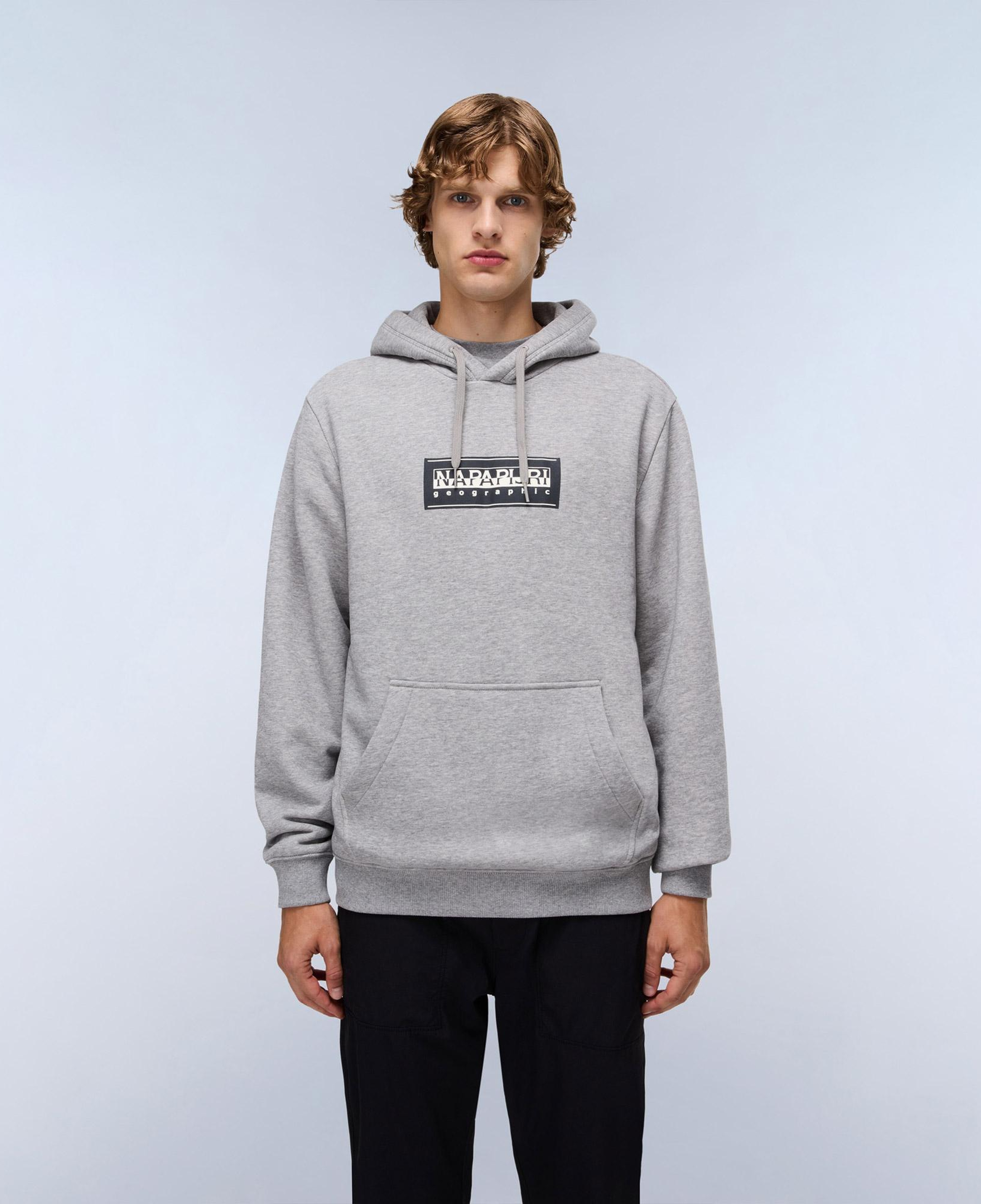 Napapijri B-Box Logo Erkek Gri Sweatshirt