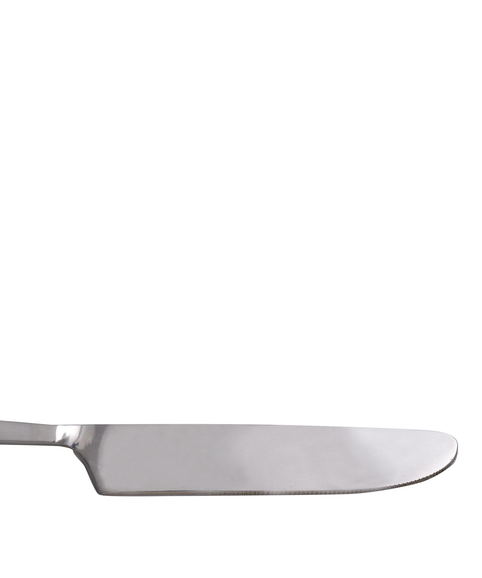 YARGICI Yemek Bıçağı (23 Cm)