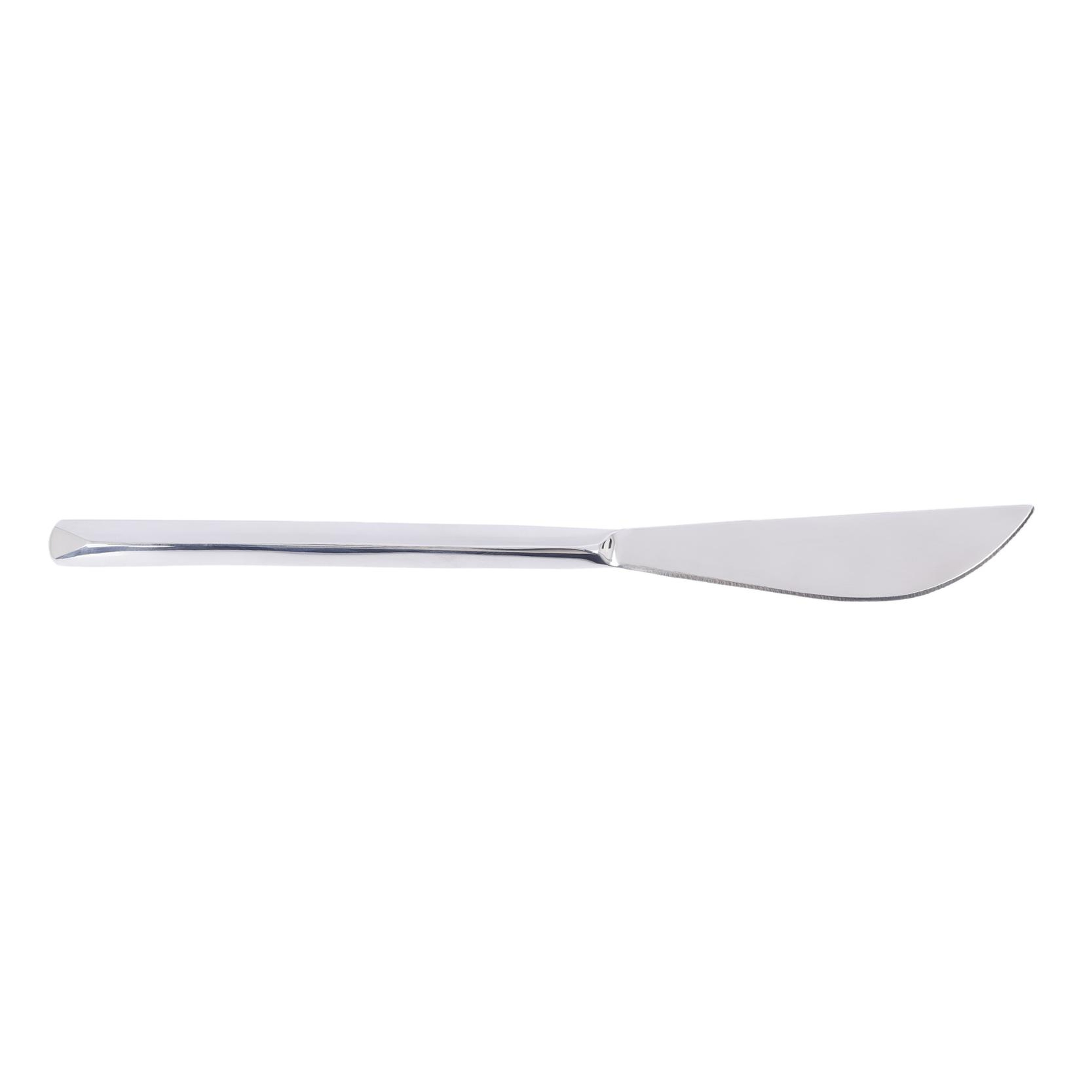 YARGICI Yemek Bıçağı (23 cm)