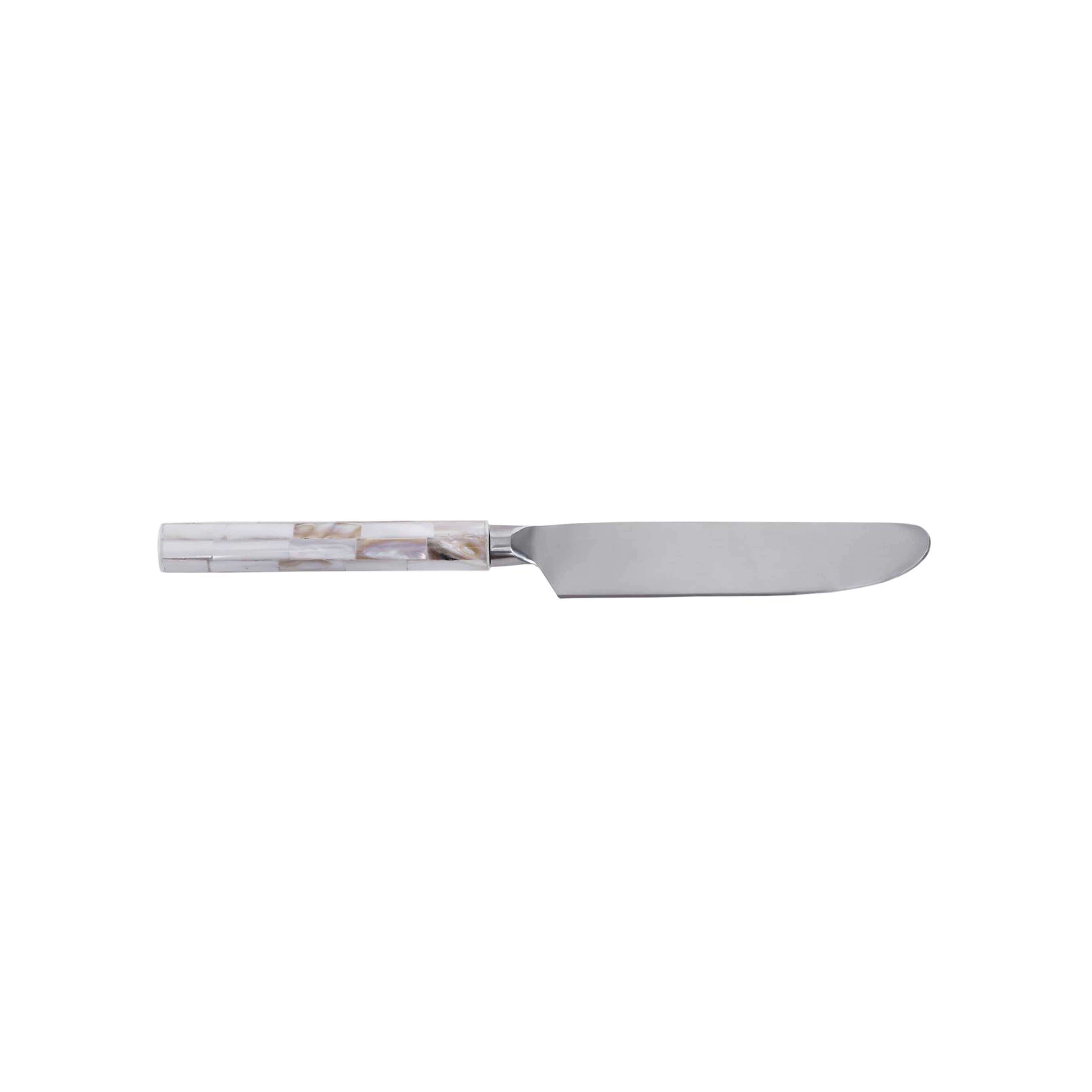 YARGICI Tatlı Bıçağı (20 Cm)