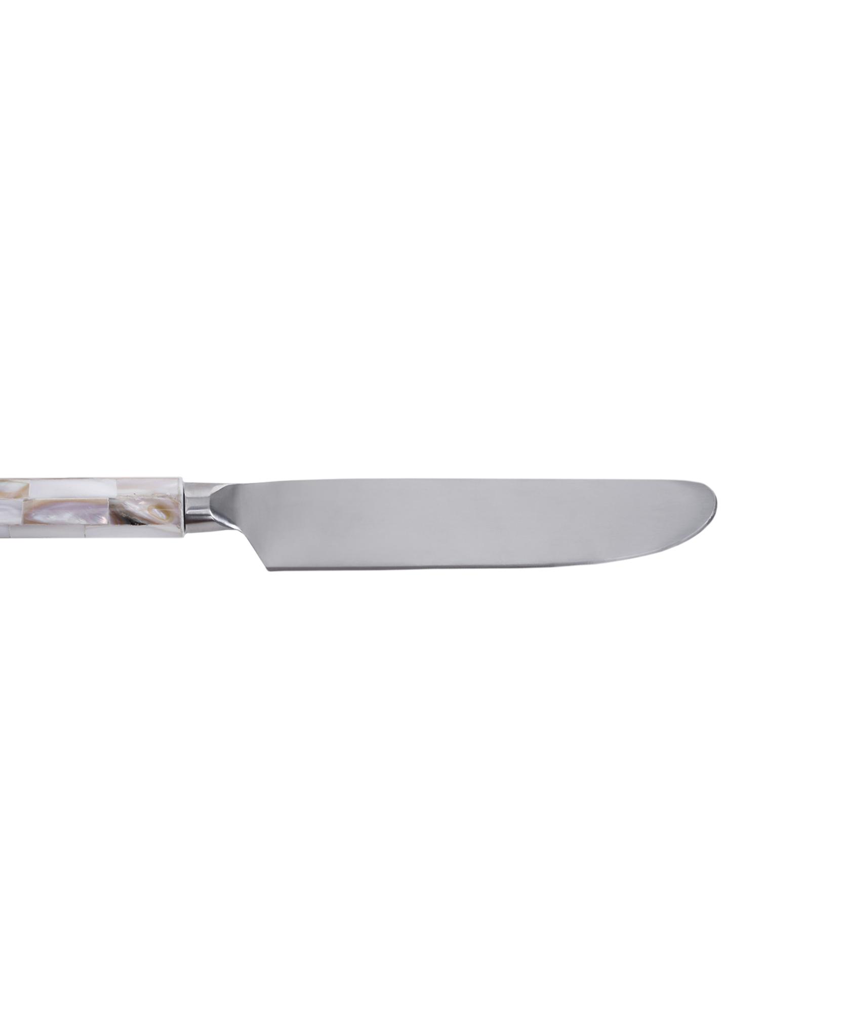 YARGICI Tatlı Bıçağı (20 Cm)