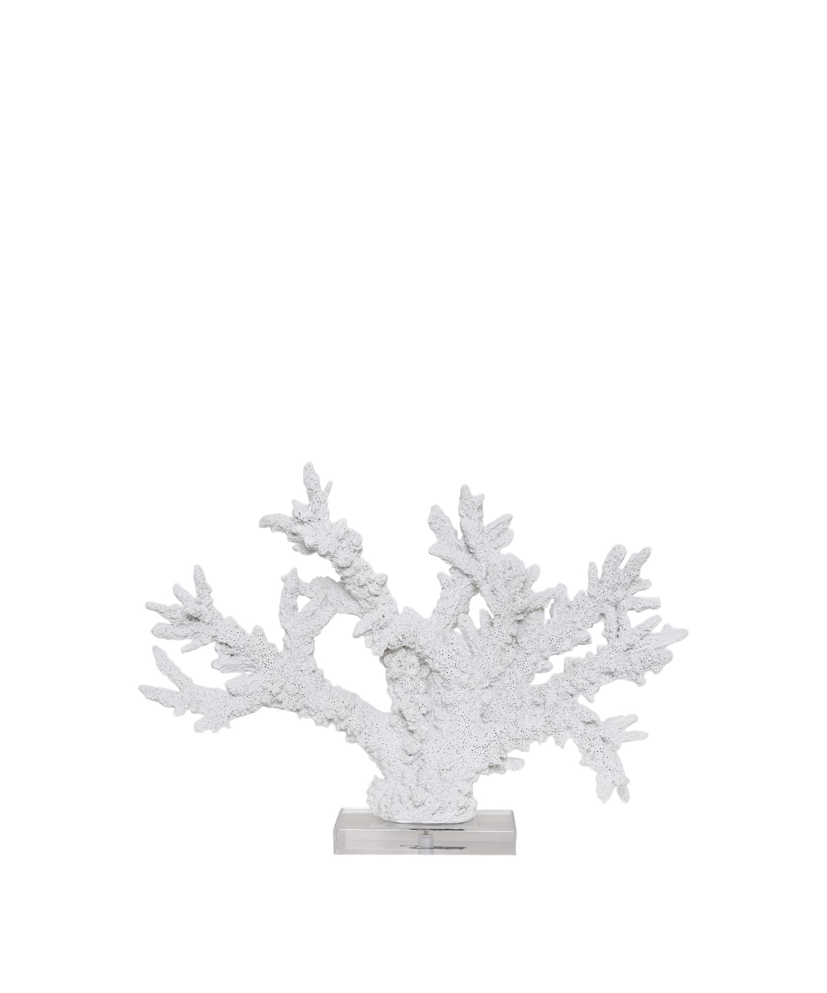YARGICI Obje(10x38x26 cm)