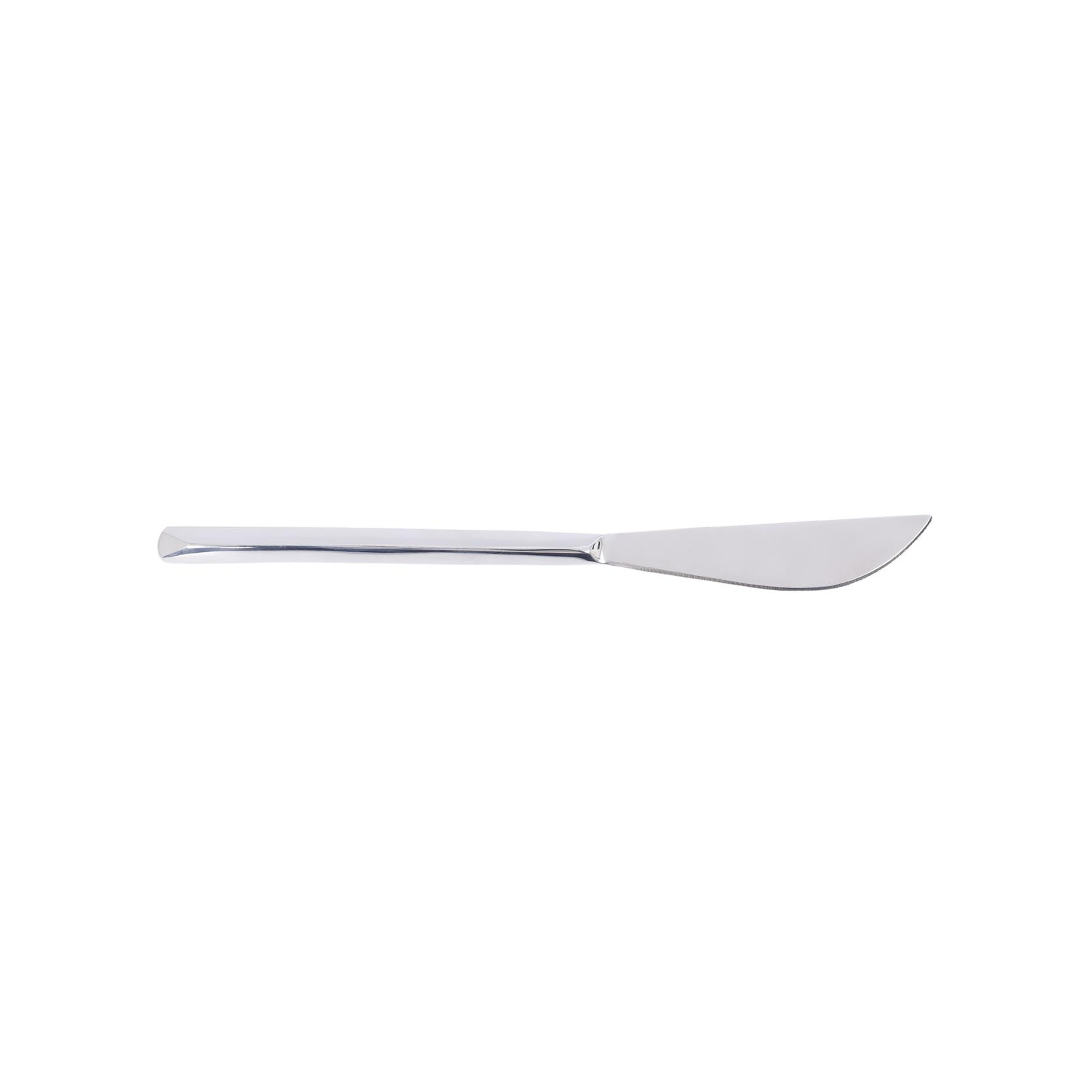 YARGICI Yemek Bıçağı(23 cm)