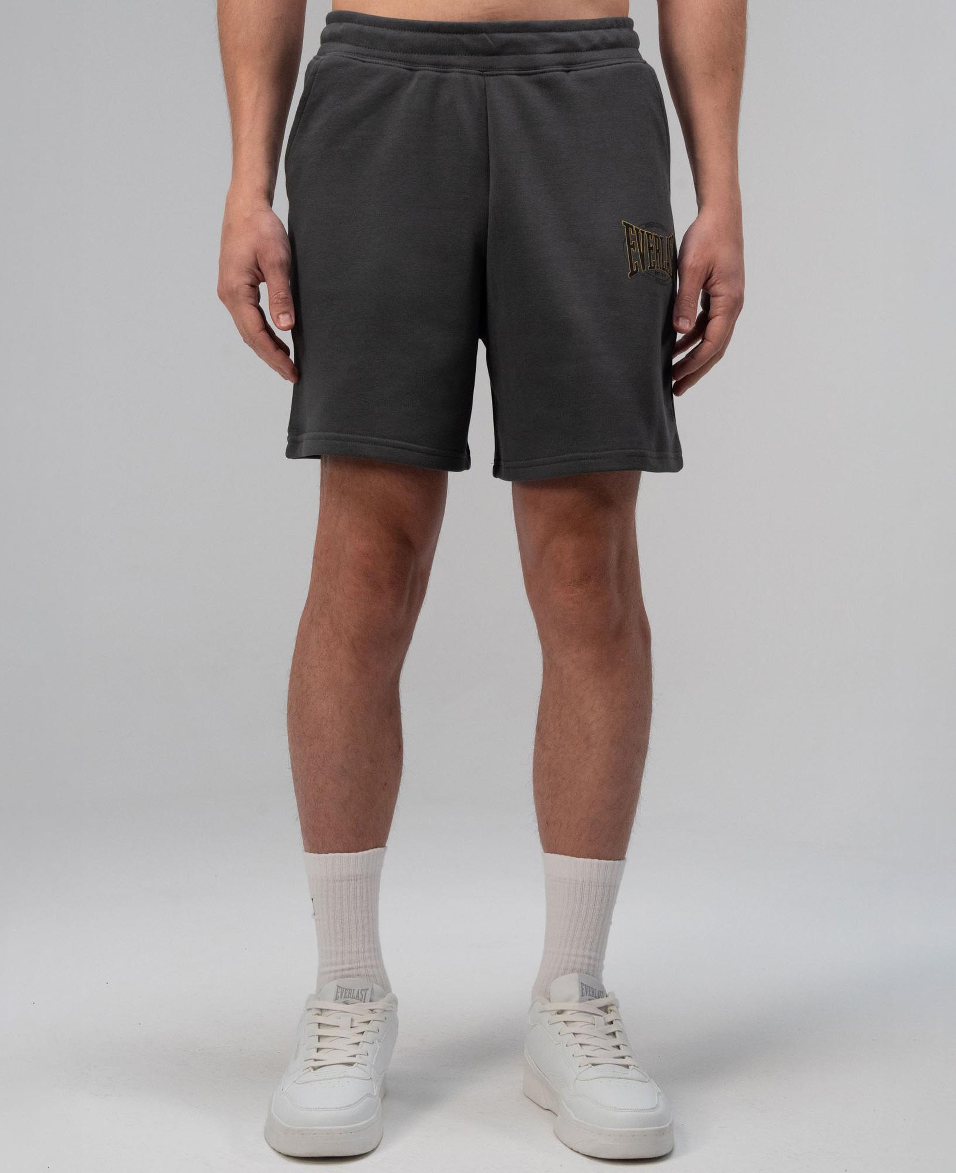 Everlast Authentic Boxing 2.0 Oversize Gri Erkek Şort