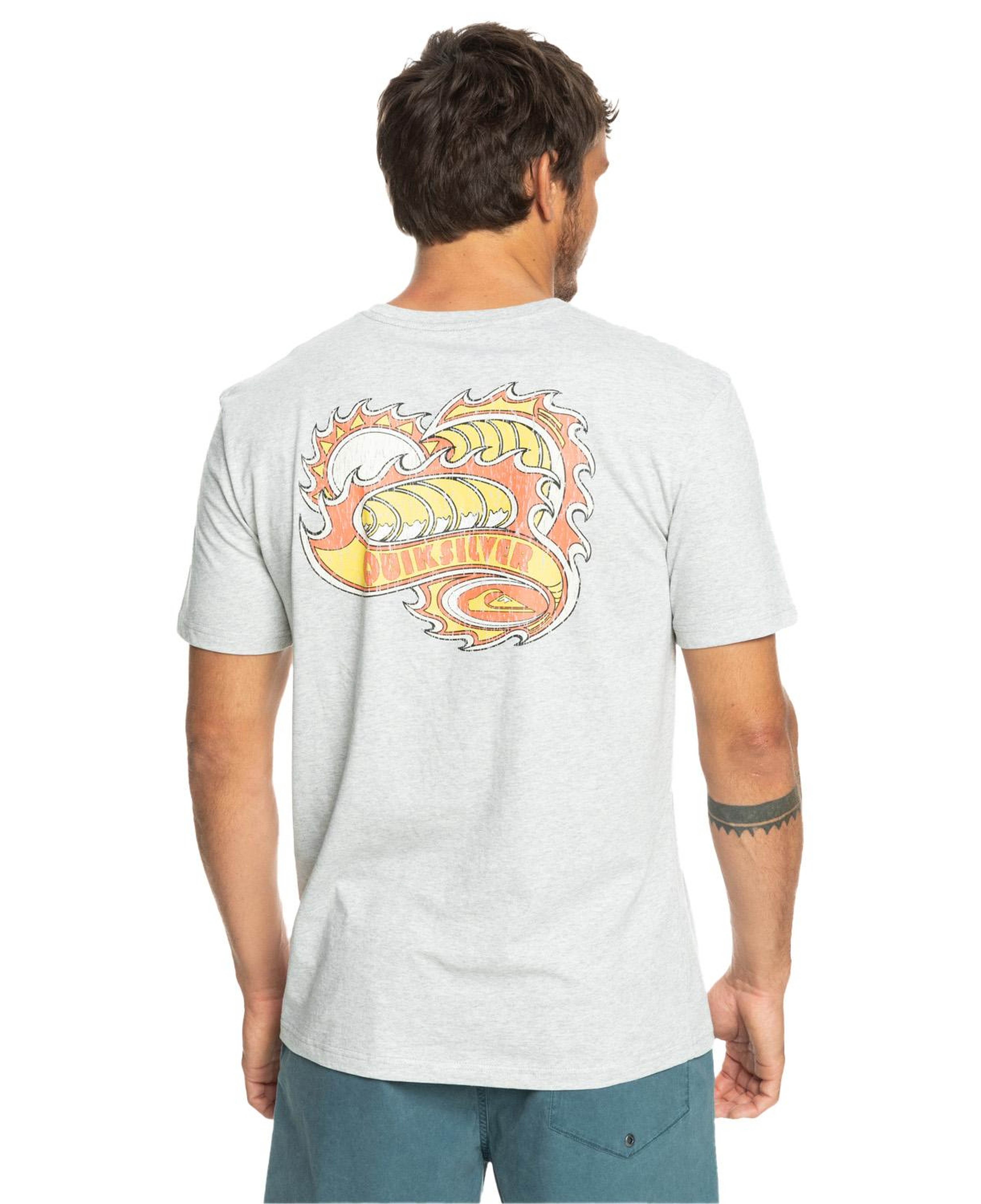 Quiksilver Sunburntdays Erkek Gri Tişört