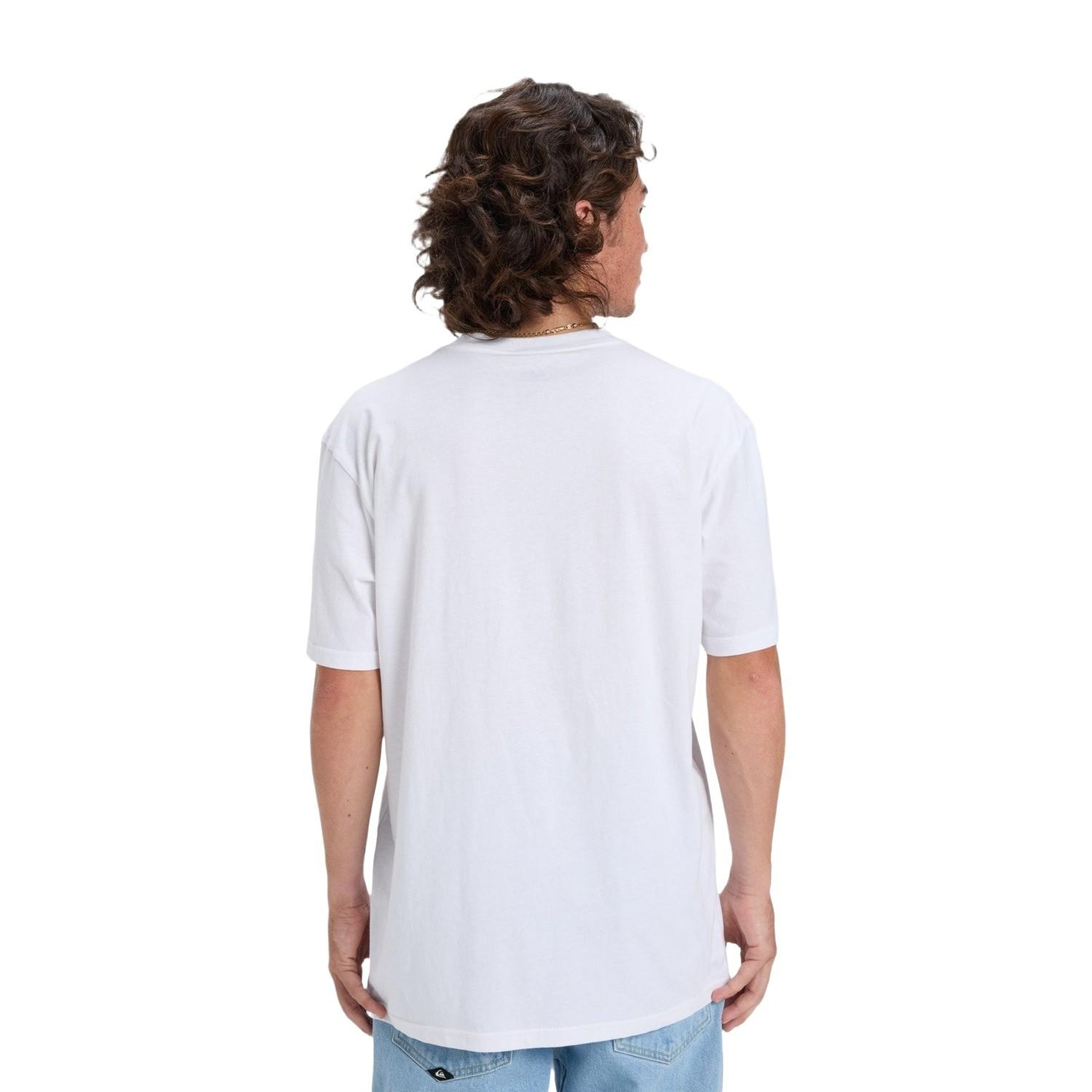 Quiksilver Ev Mini Logo Erkek Tişört