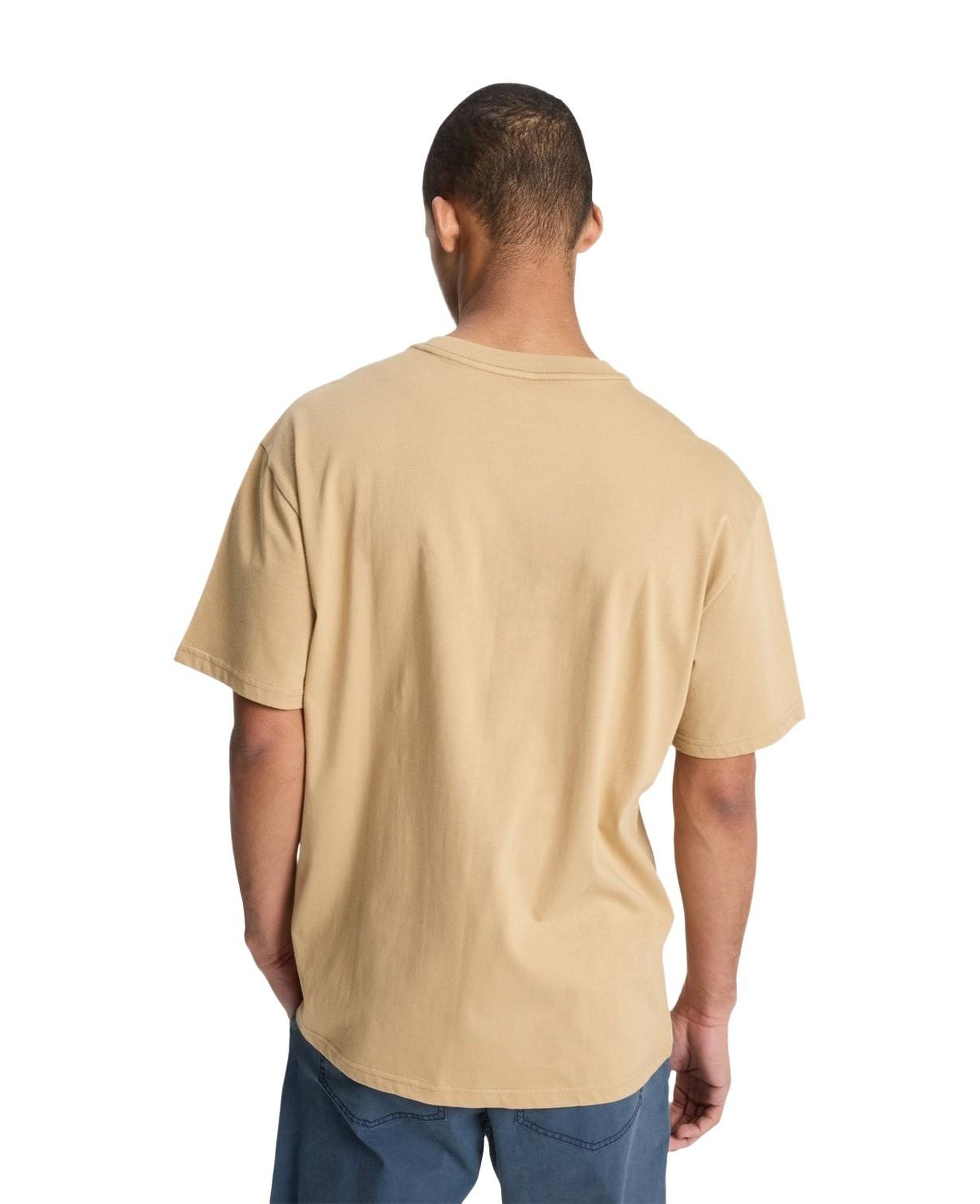 Quiksilver Salt Water Pock Erkek Bej Tişört