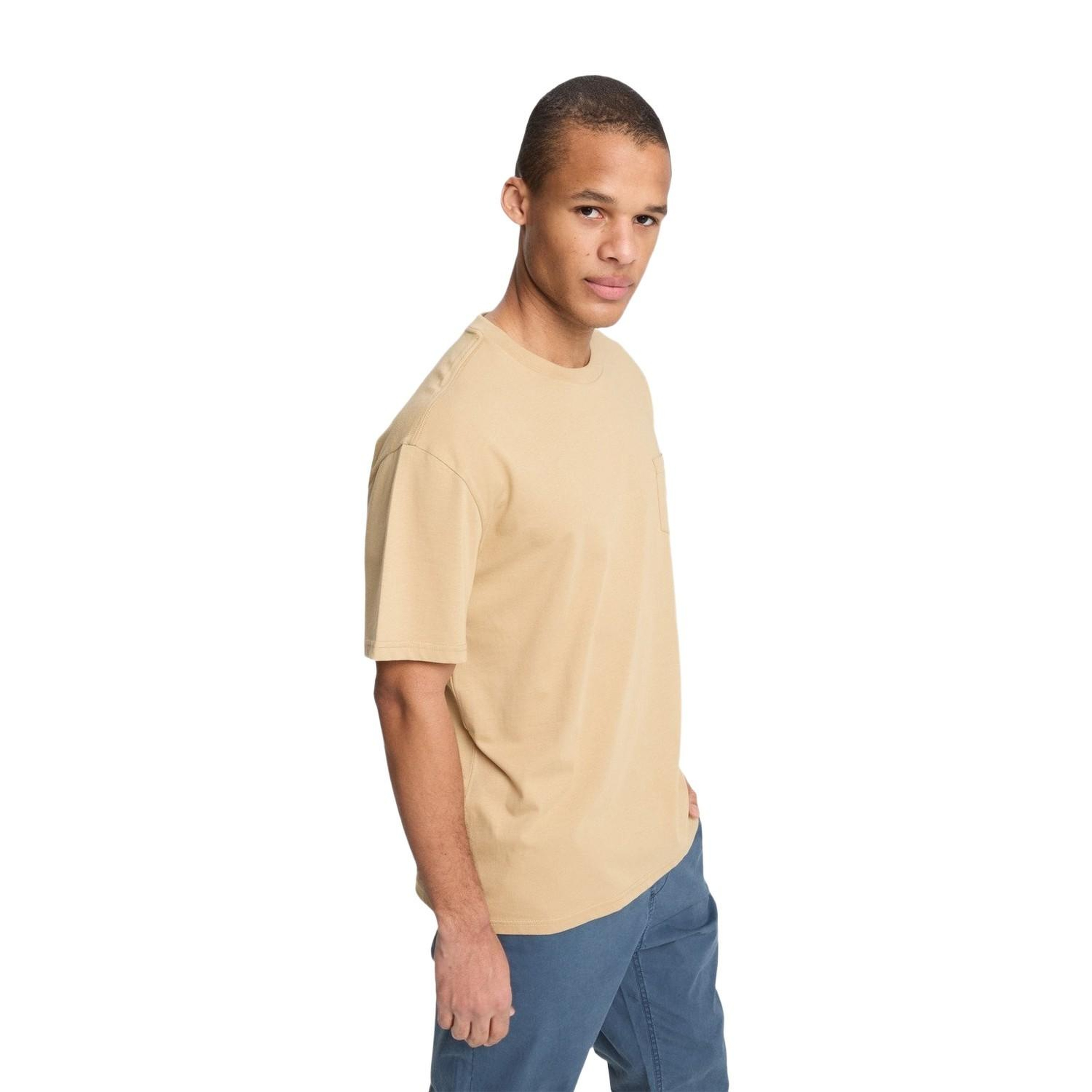 Quiksilver Salt Water Pock Erkek Bej Tişört