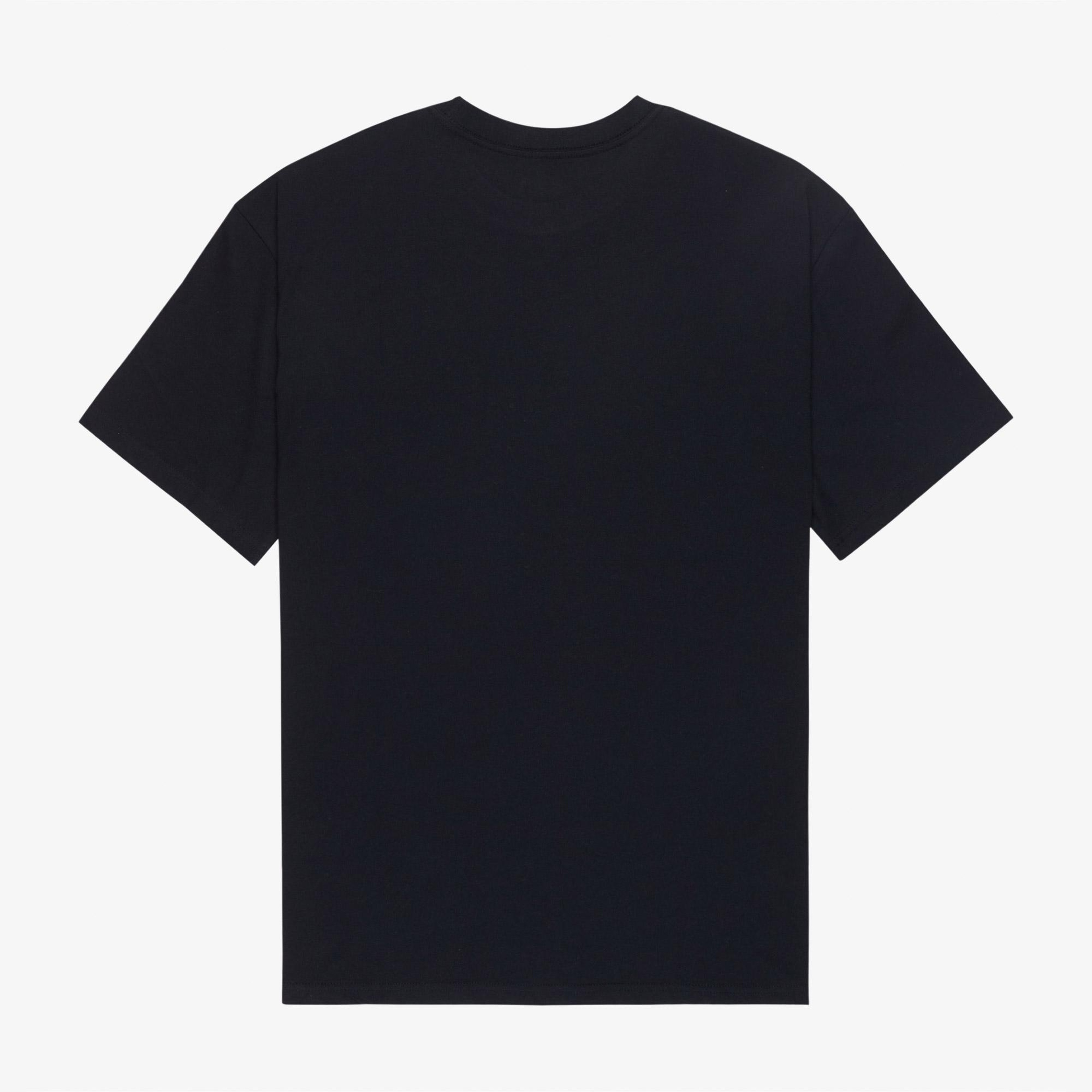 Quiksilver Salt Water Pock Erkek Siyah T-Shirt