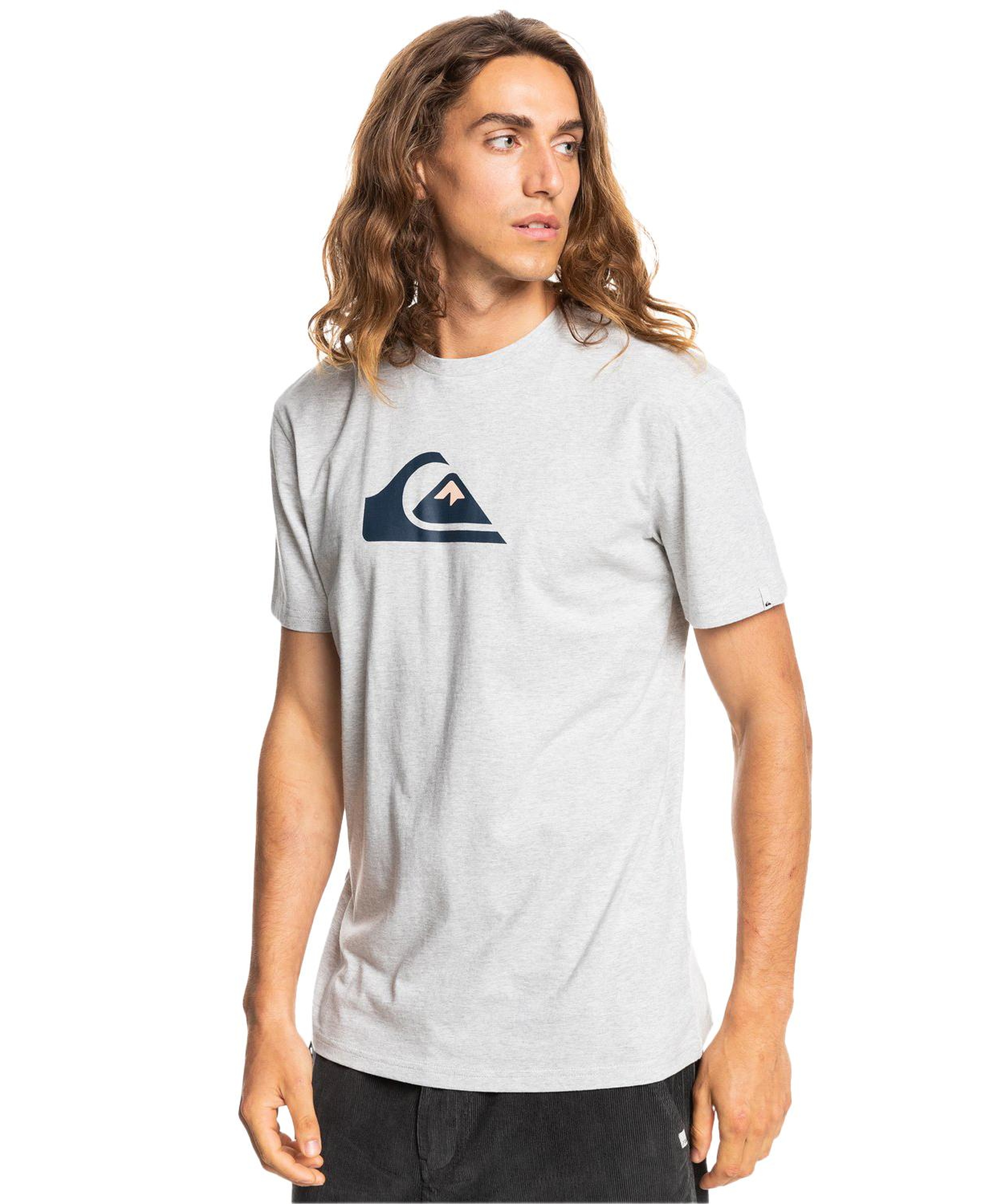 Quiksilver Complogo Erkek Gri Tişört