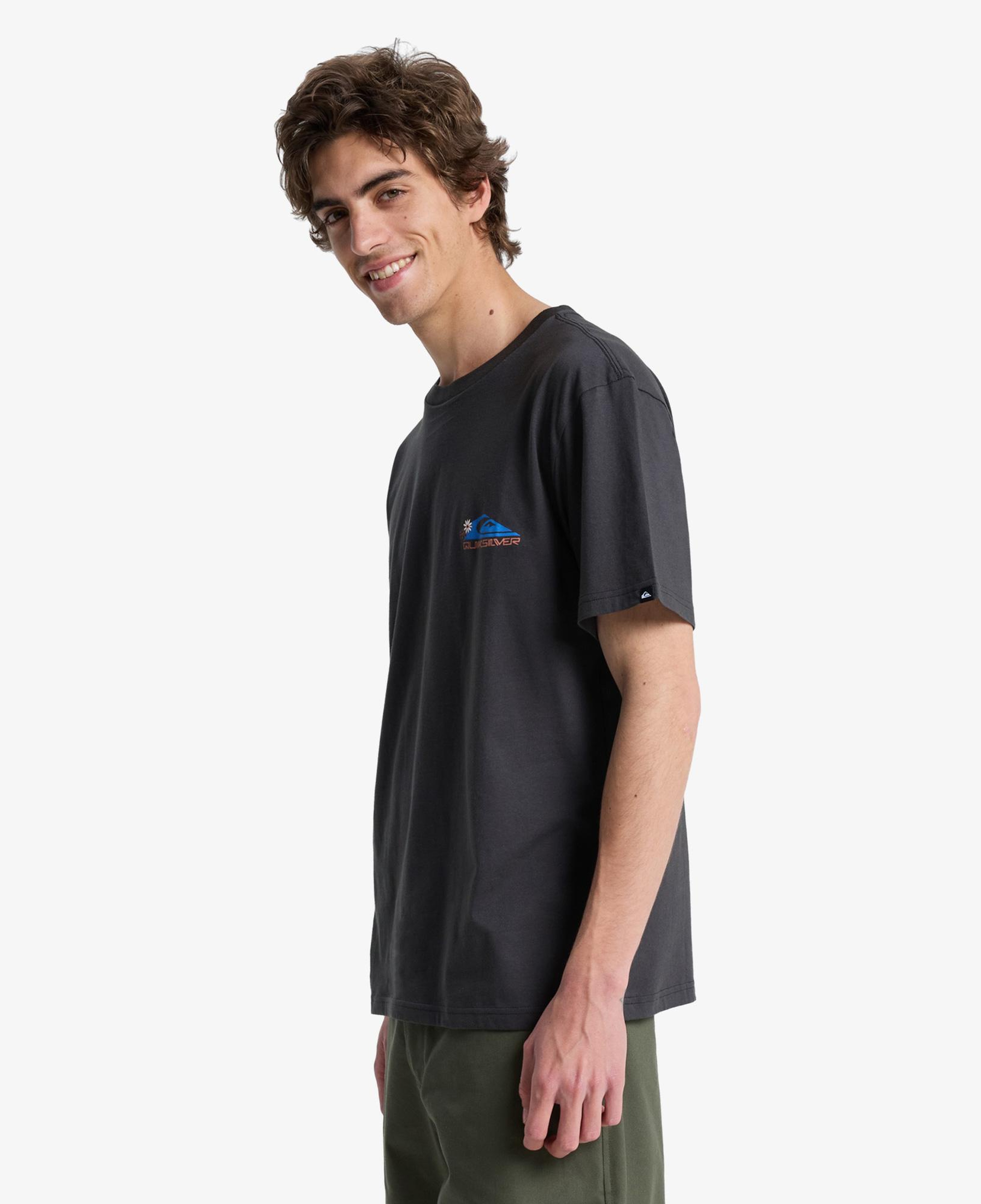 Quiksilver Fruits Tide Erkek Gri T-Shirt