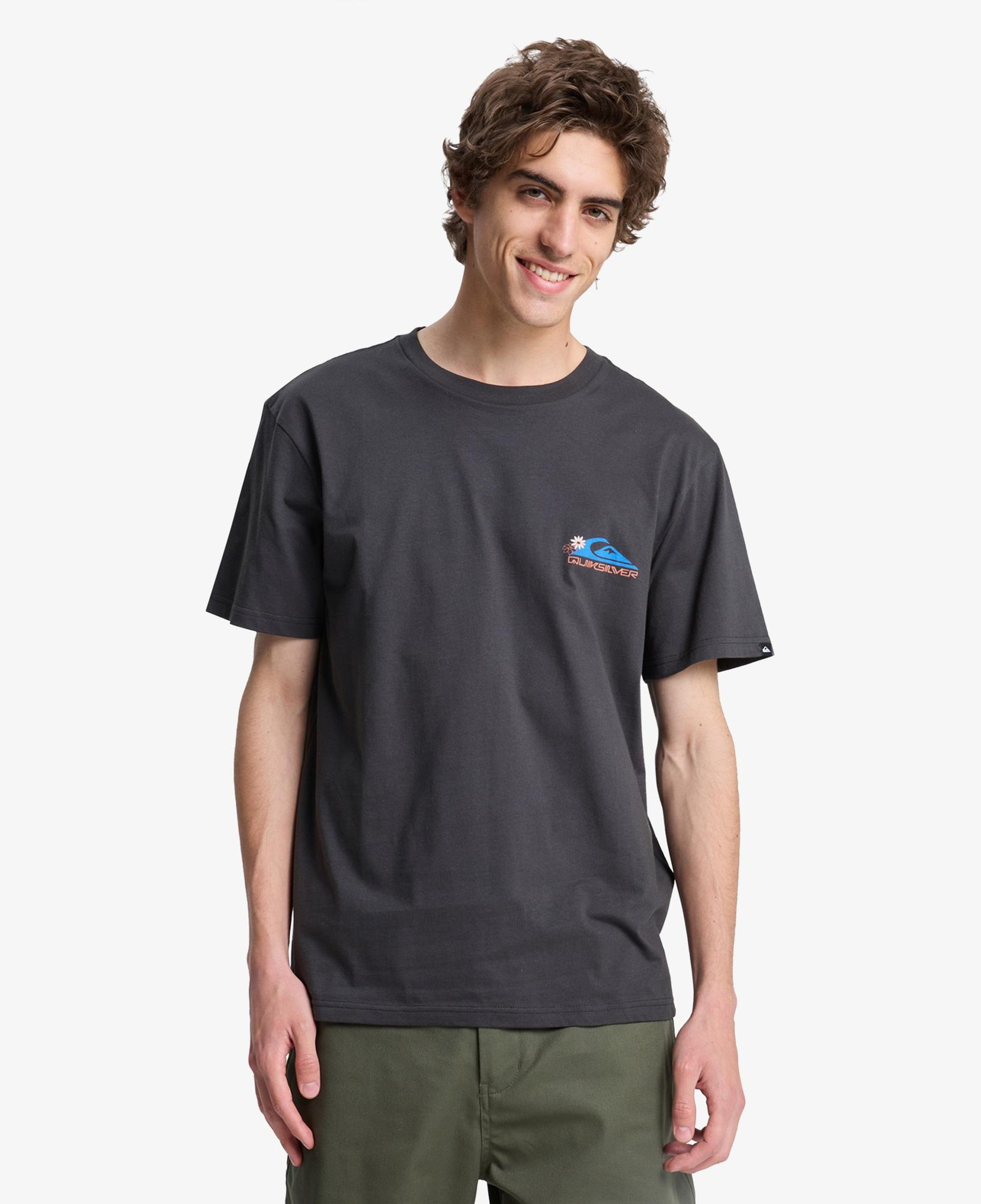 Quiksilver Fruits Tide Erkek Gri T-Shirt