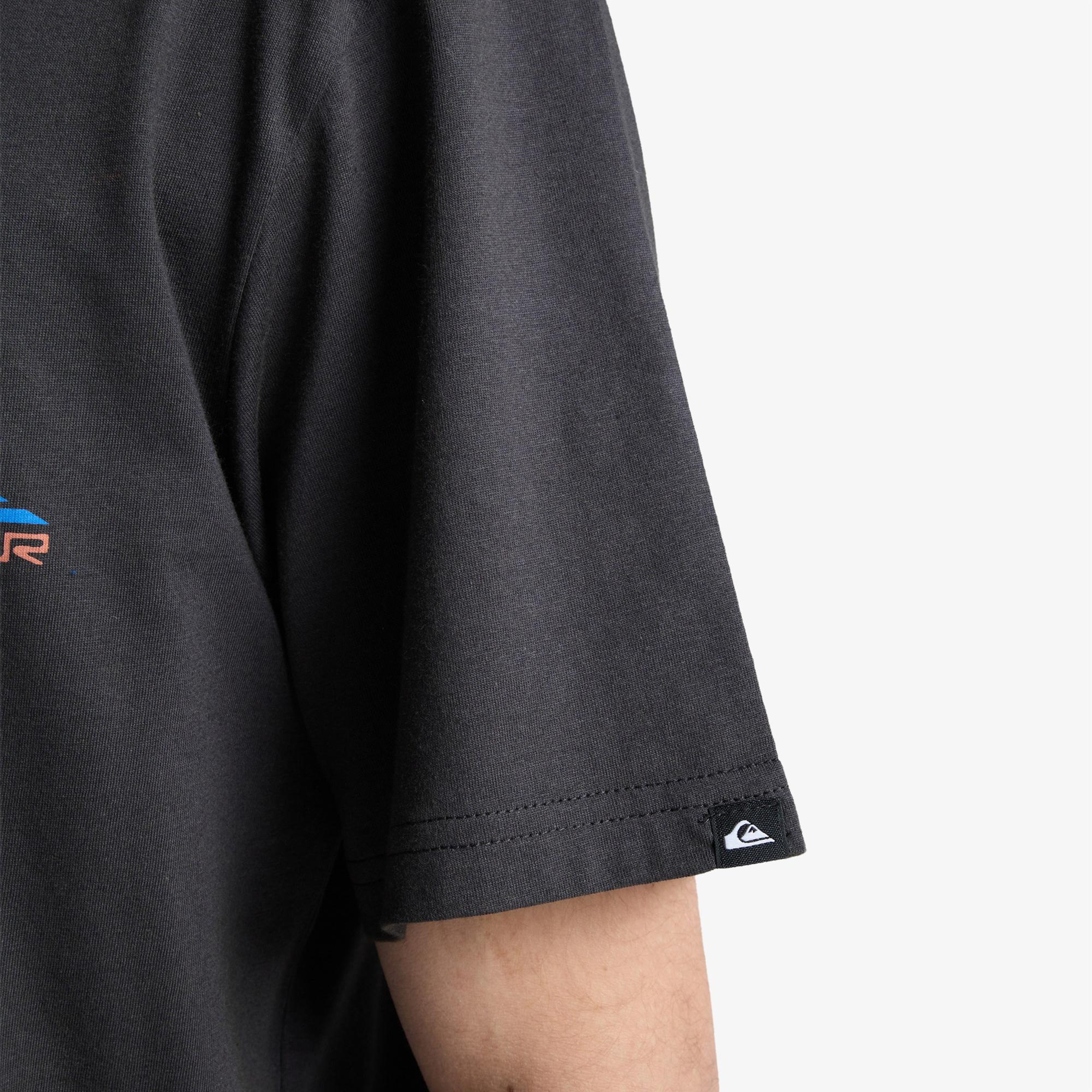 Quiksilver Fruits Tide Erkek Gri T-Shirt