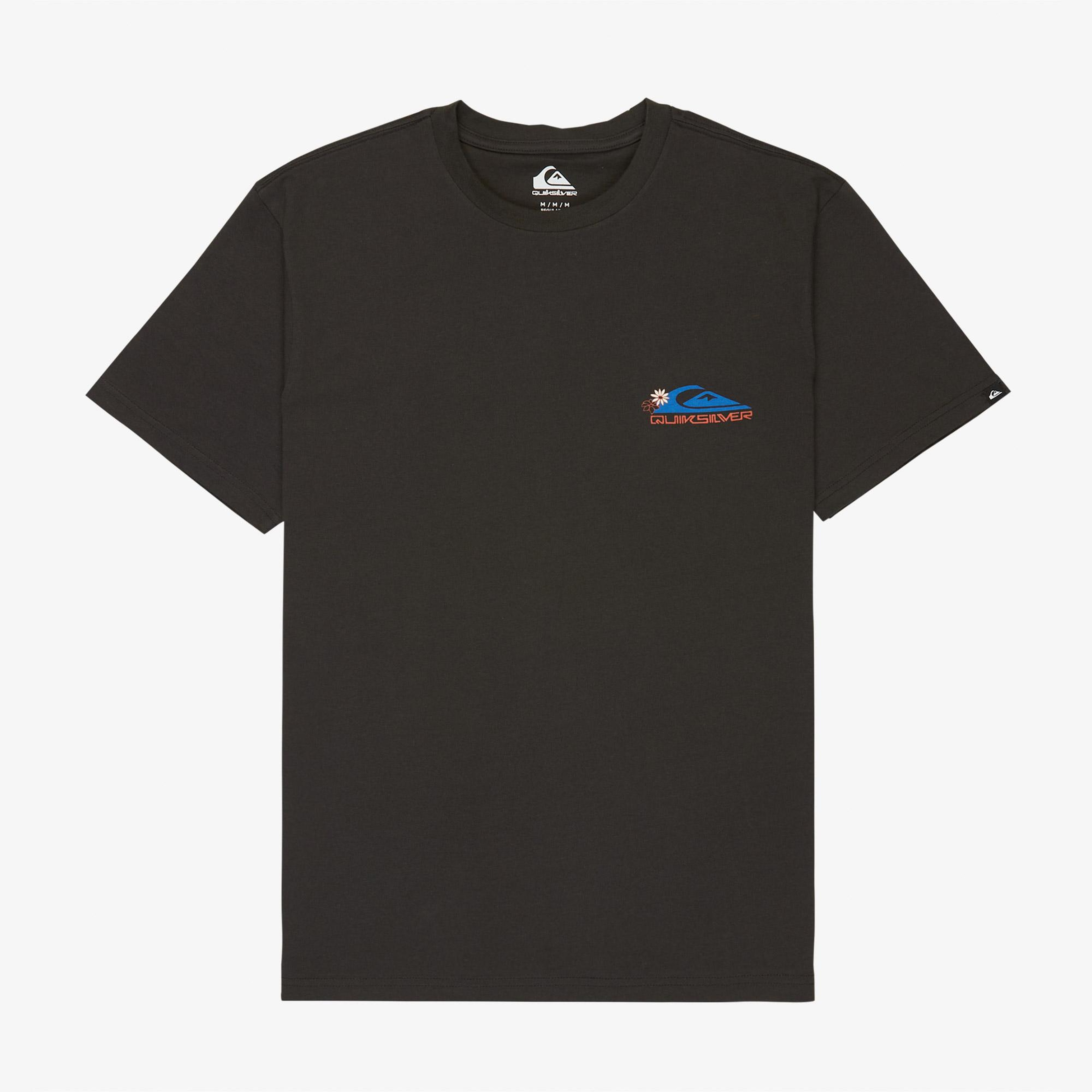 Quiksilver Fruits Tide Erkek Gri T-Shirt