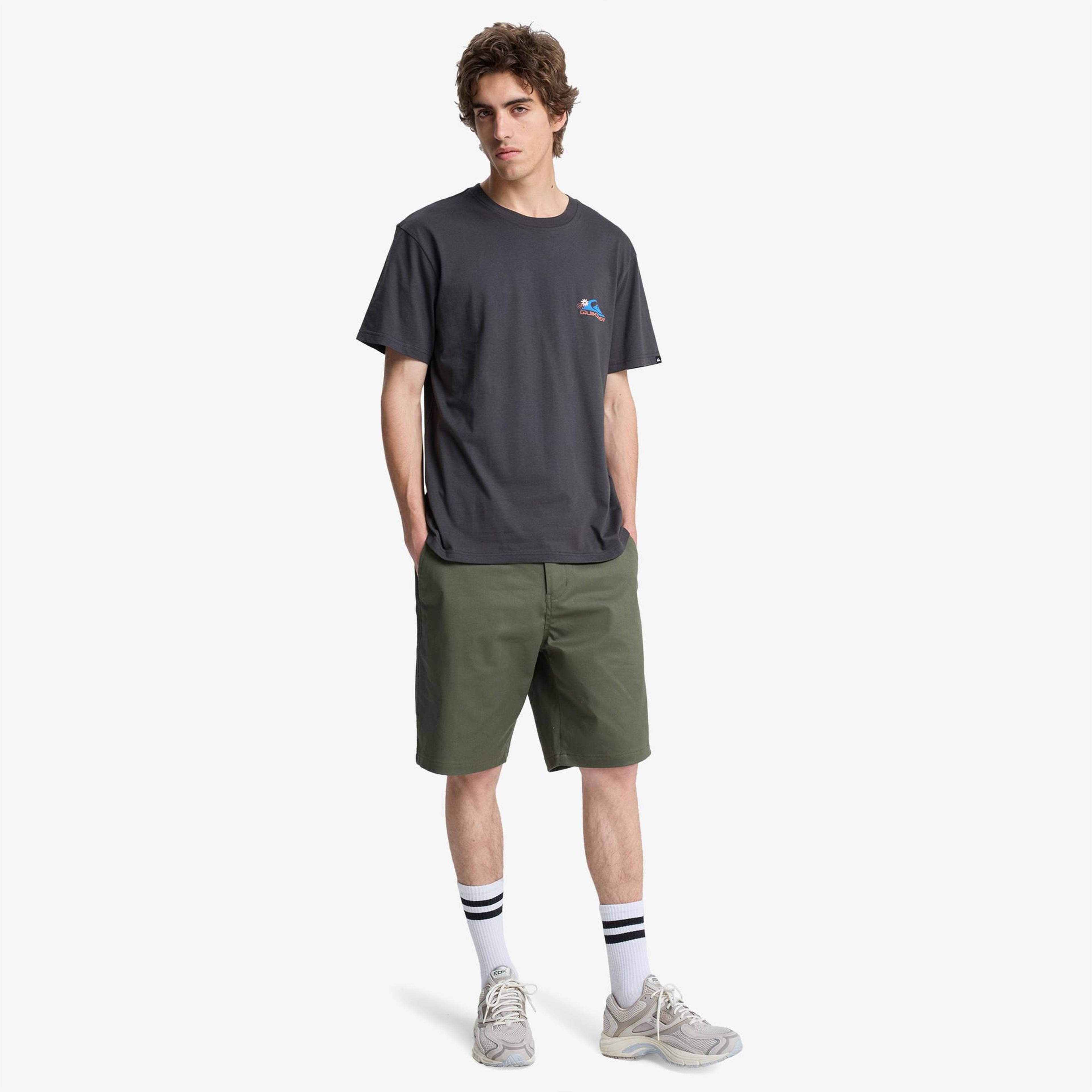 Quiksilver Fruits Tide Erkek Gri T-Shirt