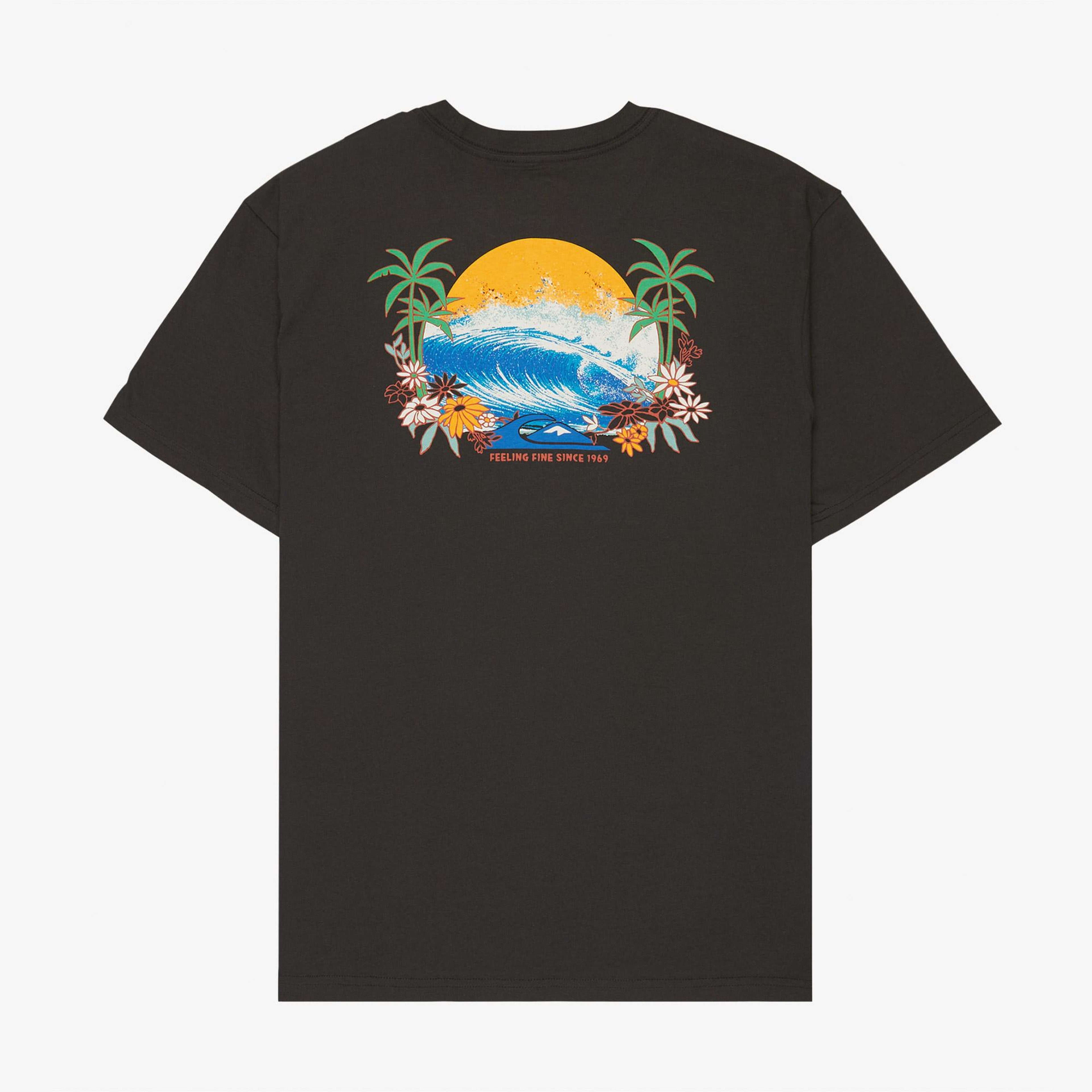Quiksilver Fruits Tide Erkek Gri T-Shirt