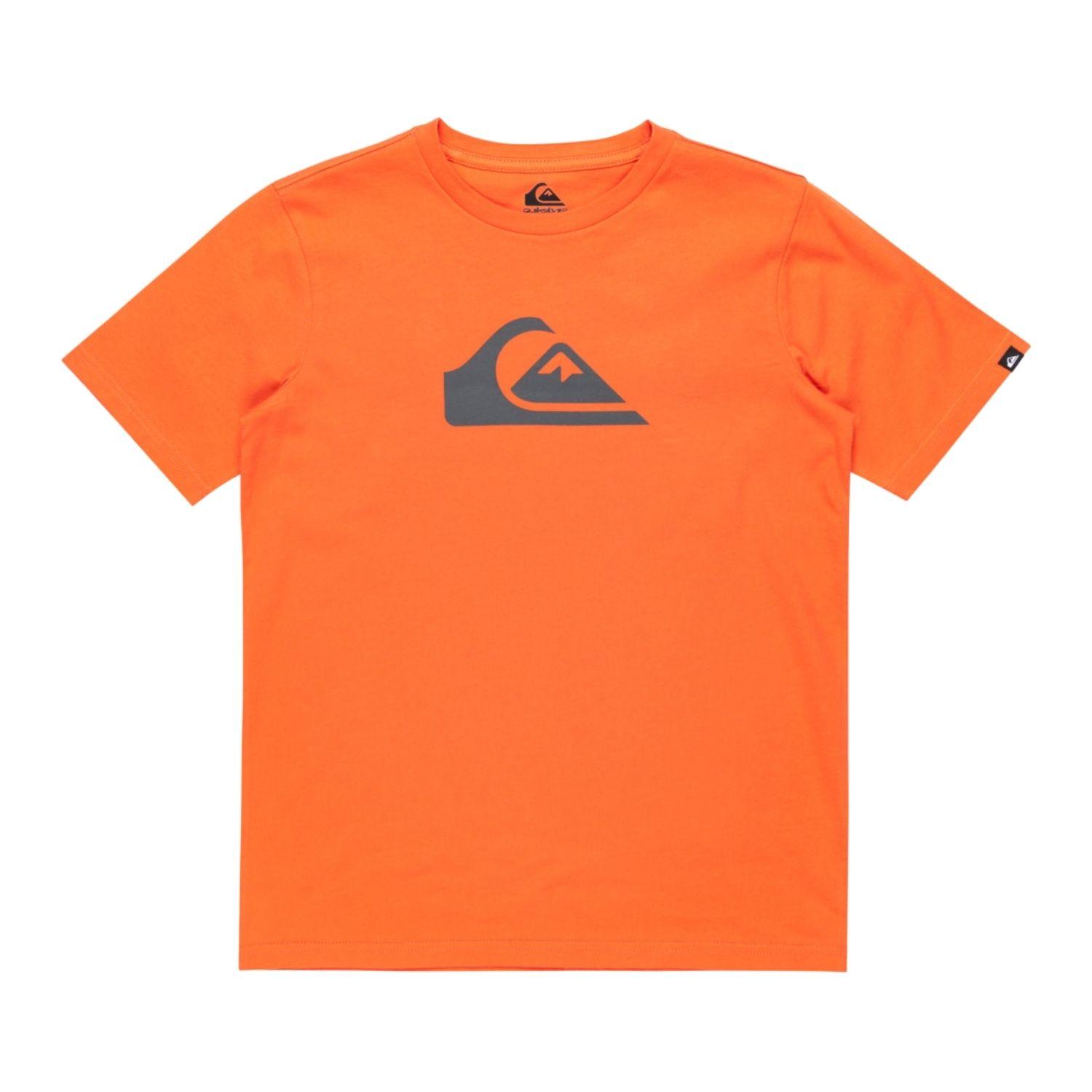 Quiksilver Ev Comp Logo Erkek Çocuk Tişört