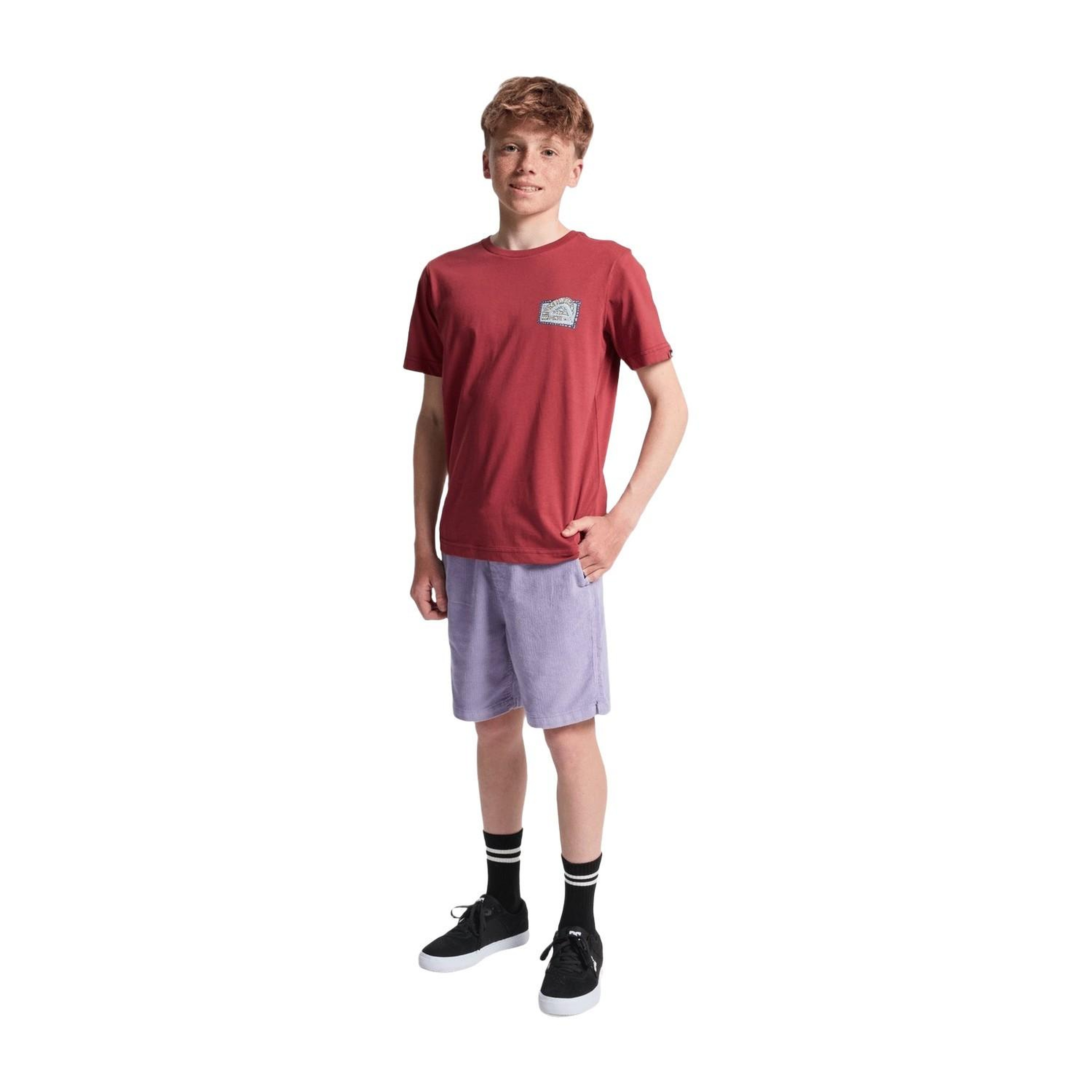 Quiksilver Heritage Erkek Çocuk Kırmızı Tişört