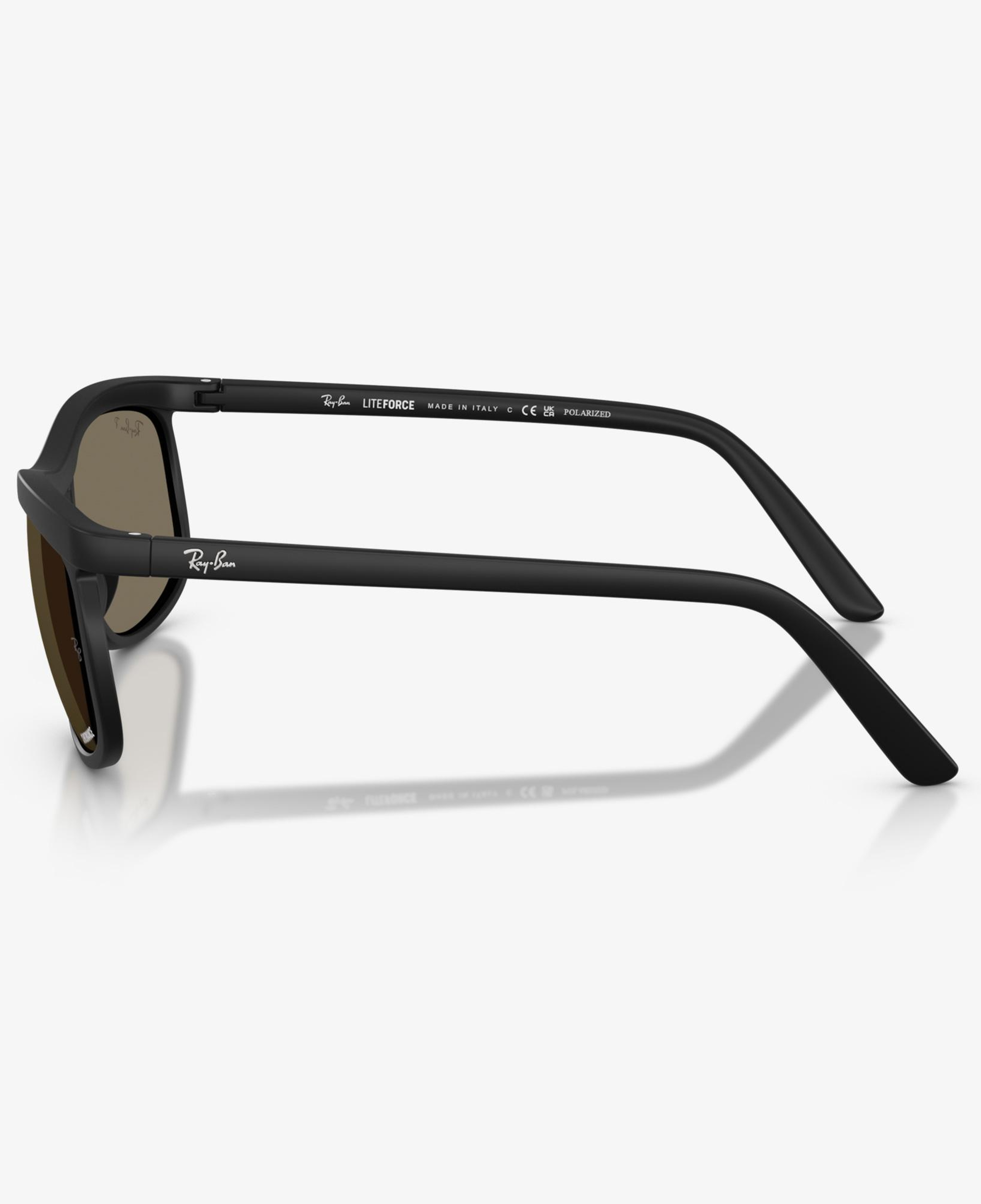 Ray-Ban RB4452CH Unisex Siyah Güneş Gözlüğü
